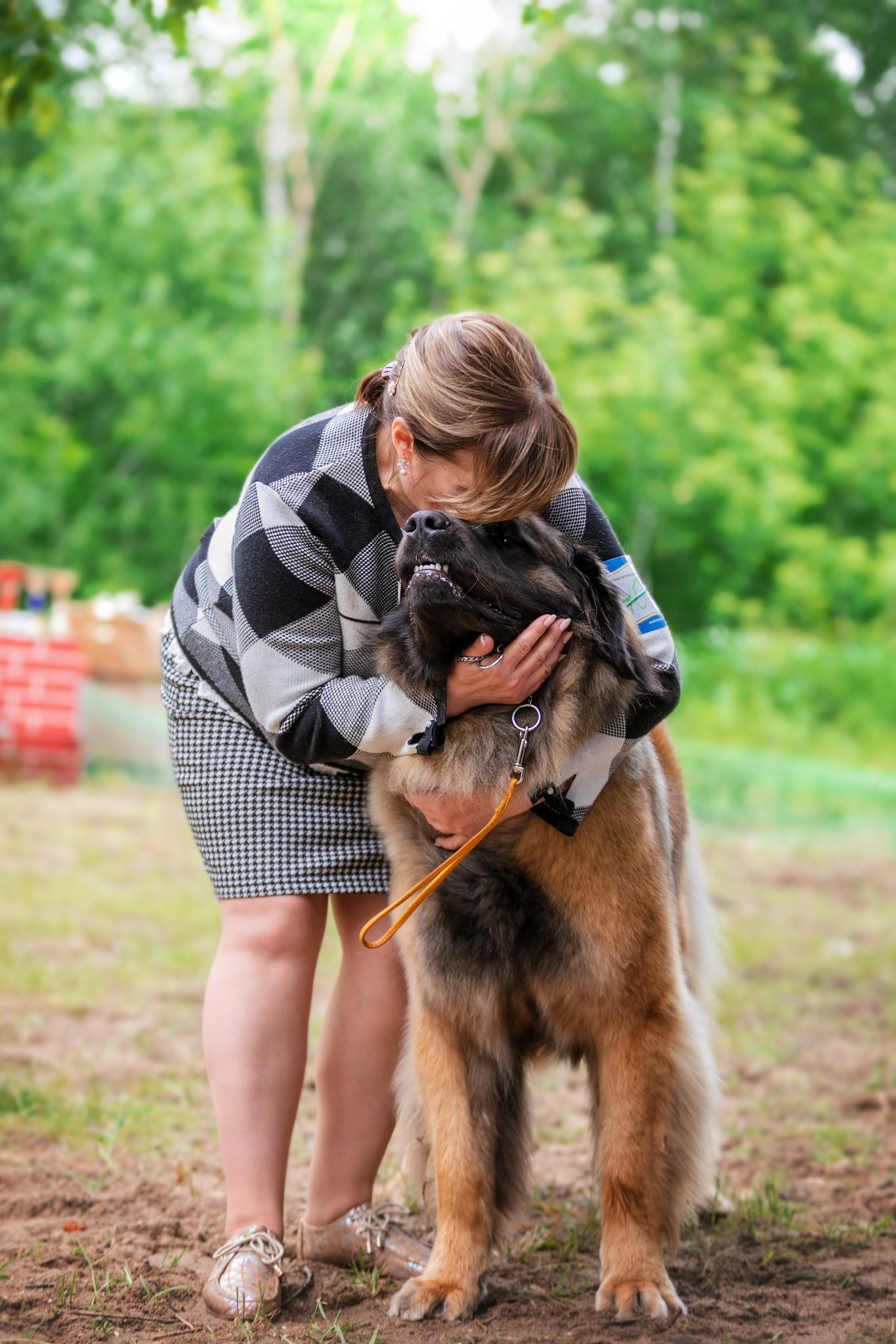 В ринге. Фотограф анималист Кузнецова Анна Нижний Новгород