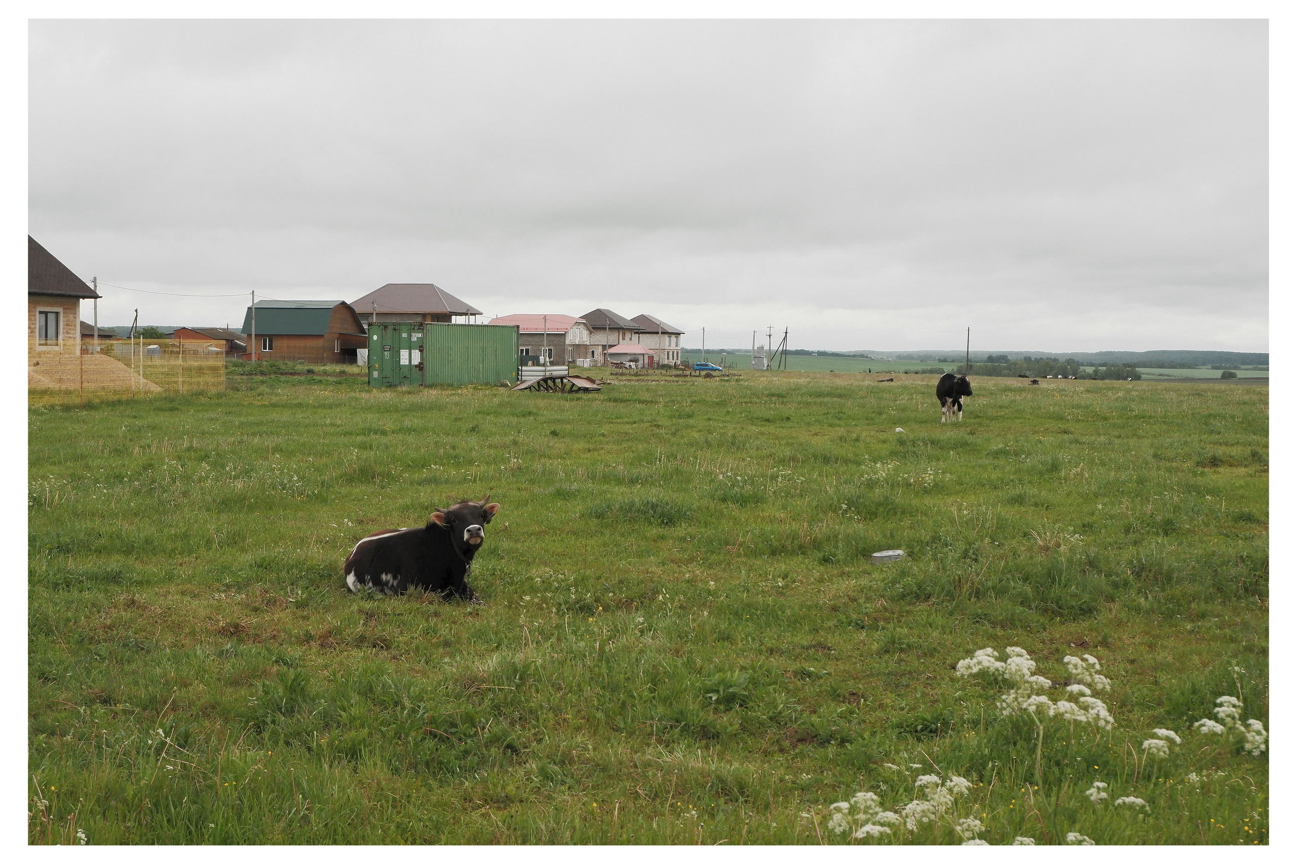 KALUGA. ANNA — PHOTOGRAPHER