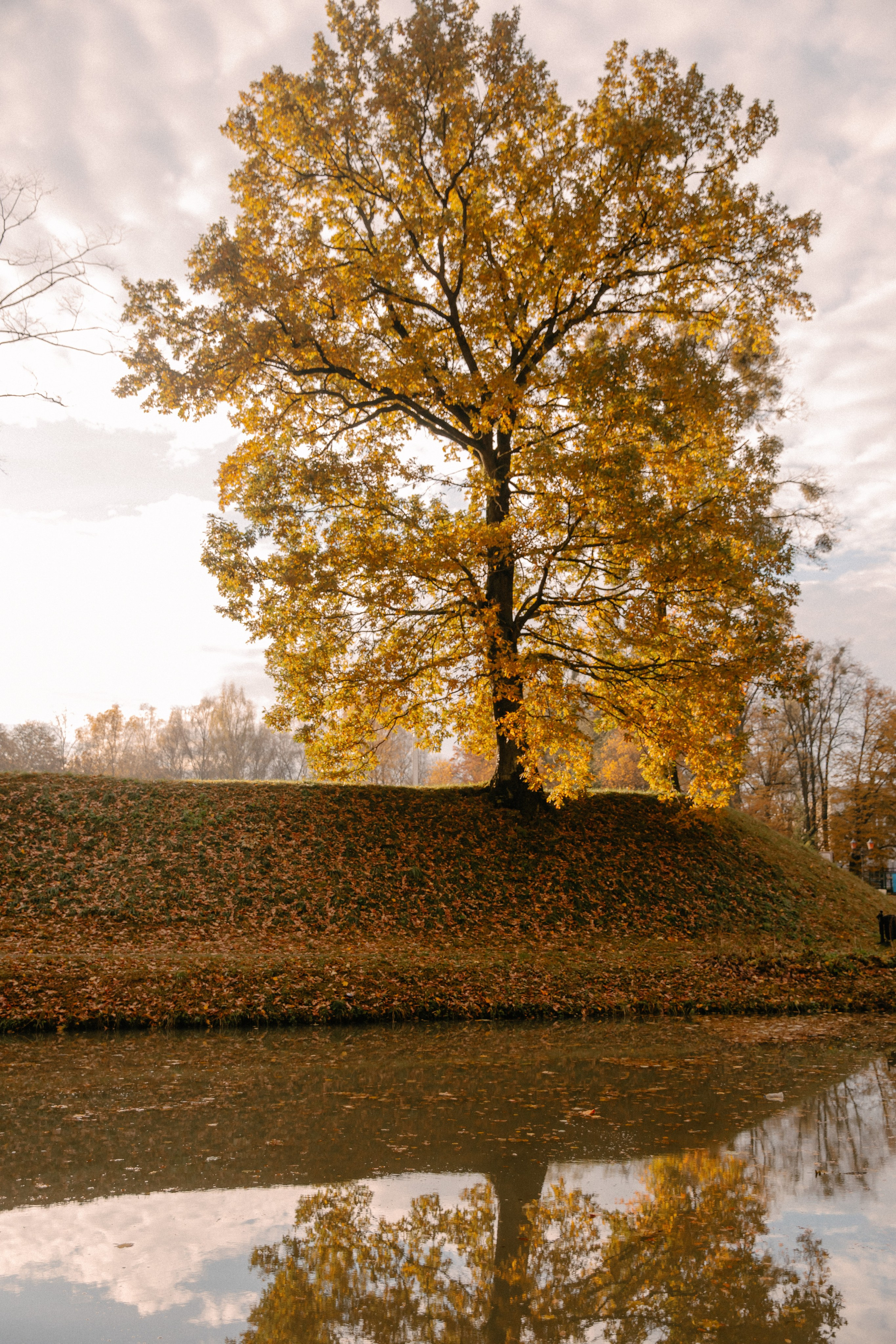 Яркая осень. Фотограф Амалия Ахмедова, Калининград