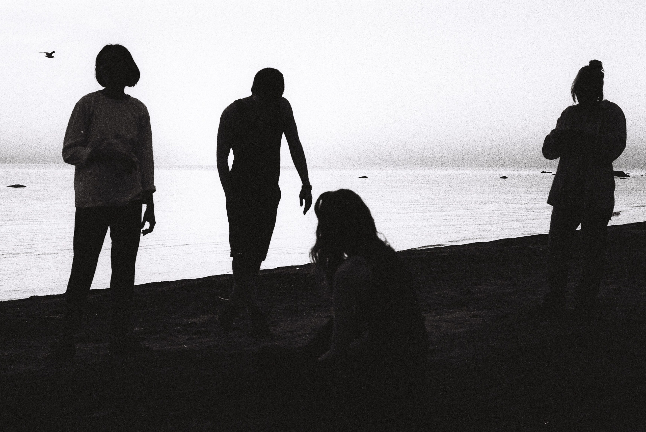 Film. Ruslan UI Dev Page