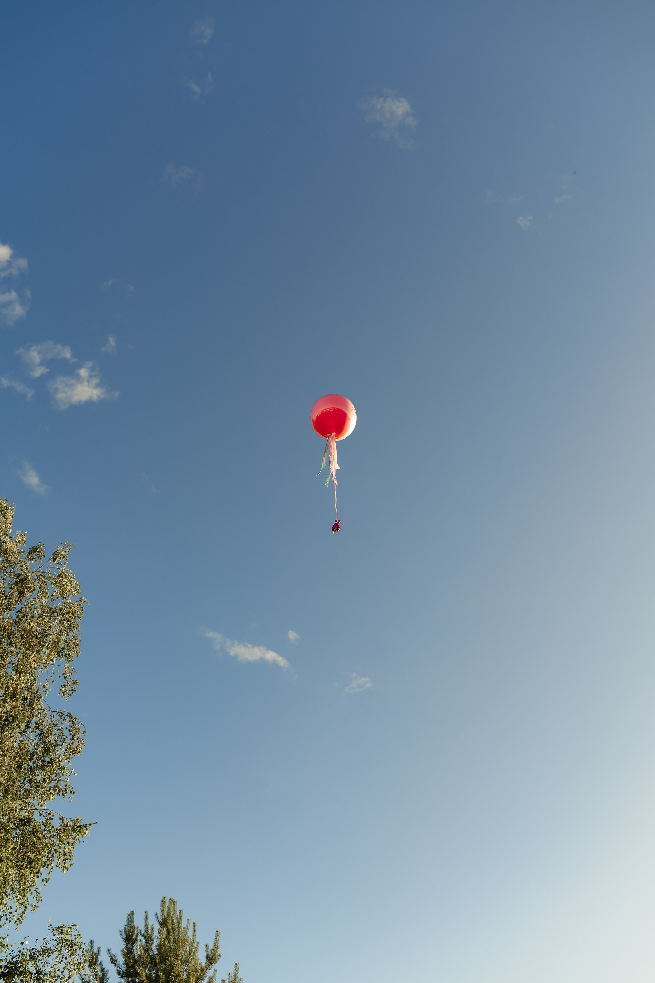 День рождения Ариана и Николь. Фотограф Сергей Белов | Москва