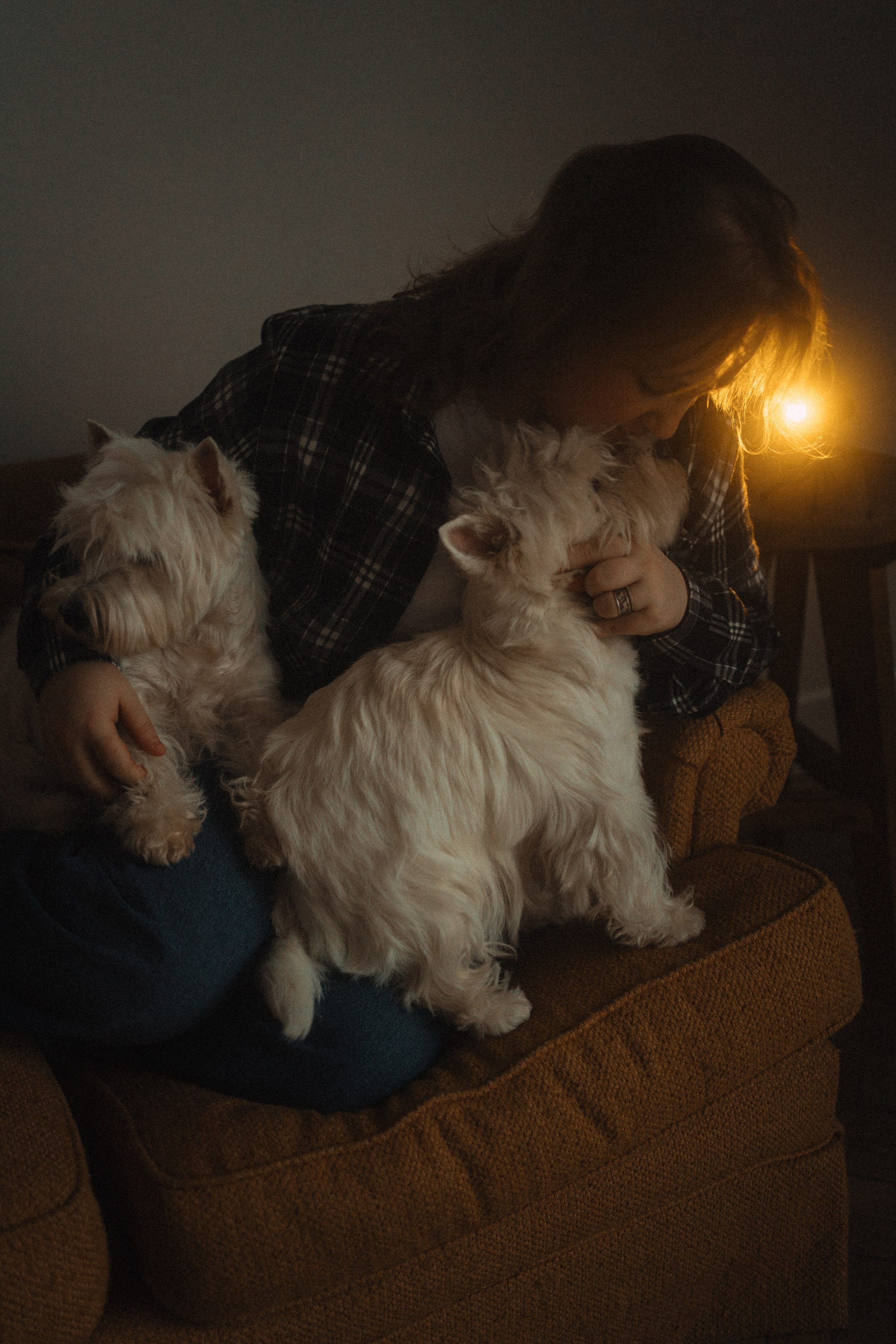 Вероника, Мята и Малина. Фотораф — анималист Мария Шистка