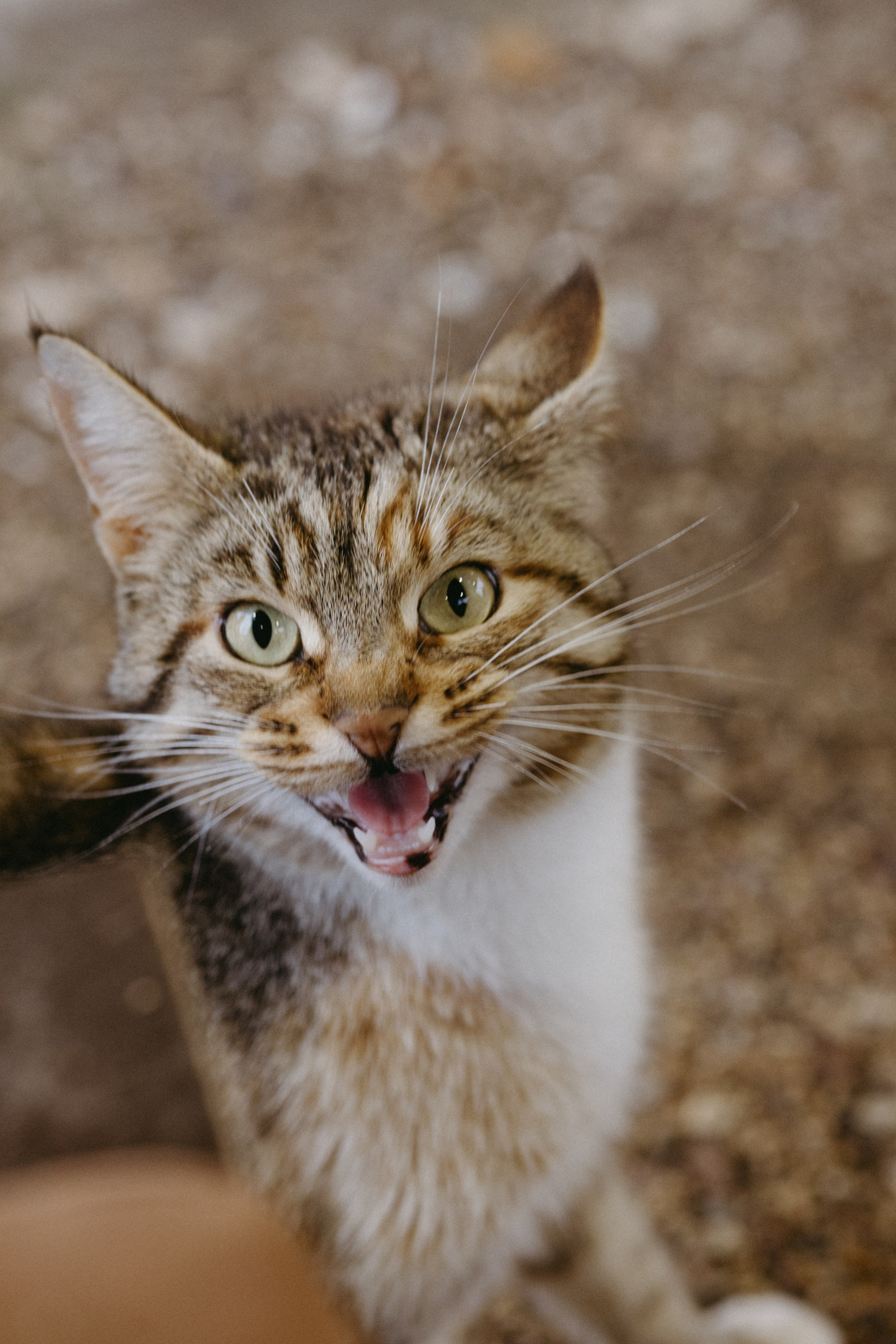 Новые земли. Про любовь