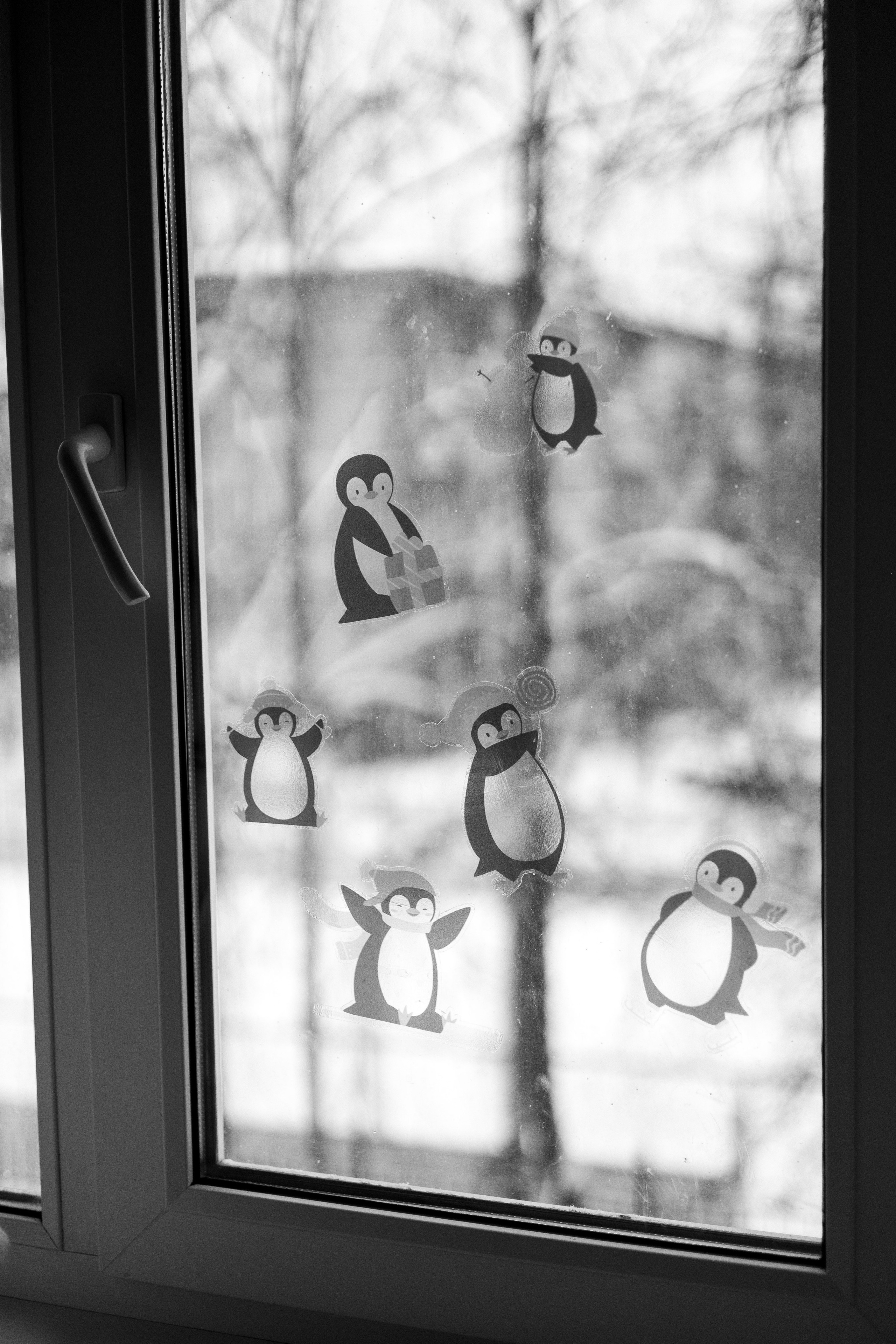 Вика и Ариша