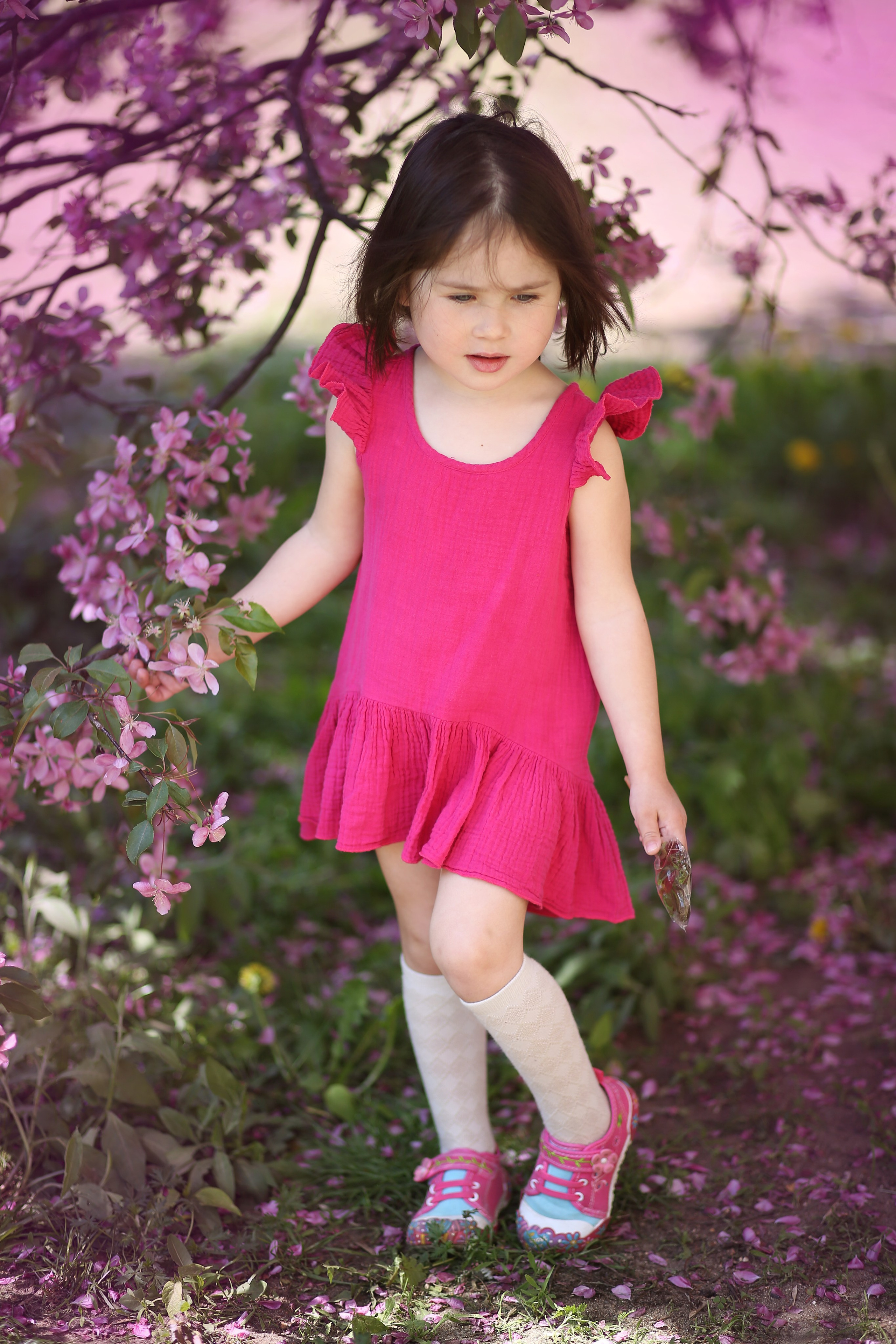 Фотопрогулка-яблони розовые. Семейный и детский фотограф в Москве и МО — Александра