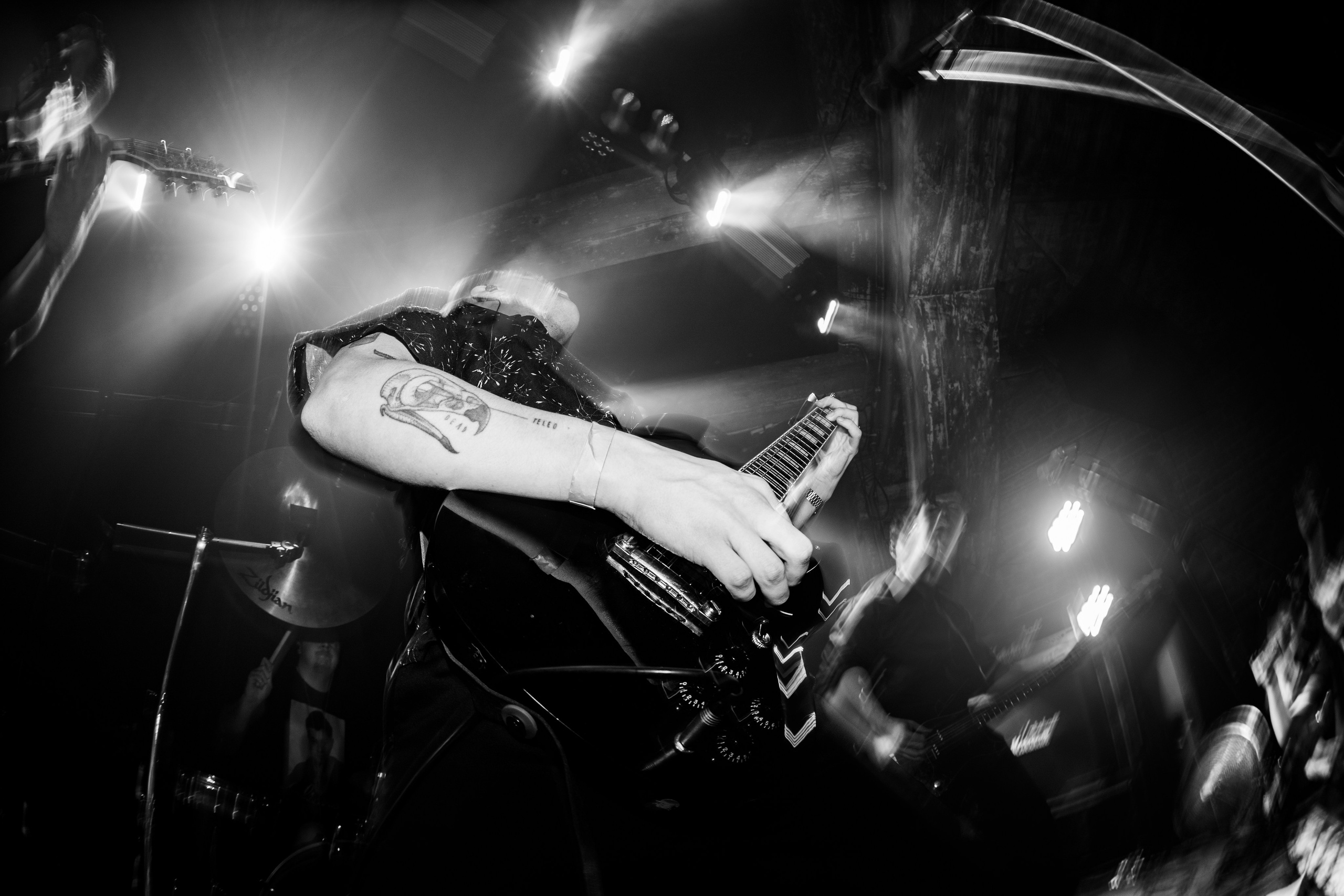 Show Me A Dinosaur|Zoccolo 2.0. Концертный и репортажный фотограф в Санкт-Петербурге Слава Пахомов