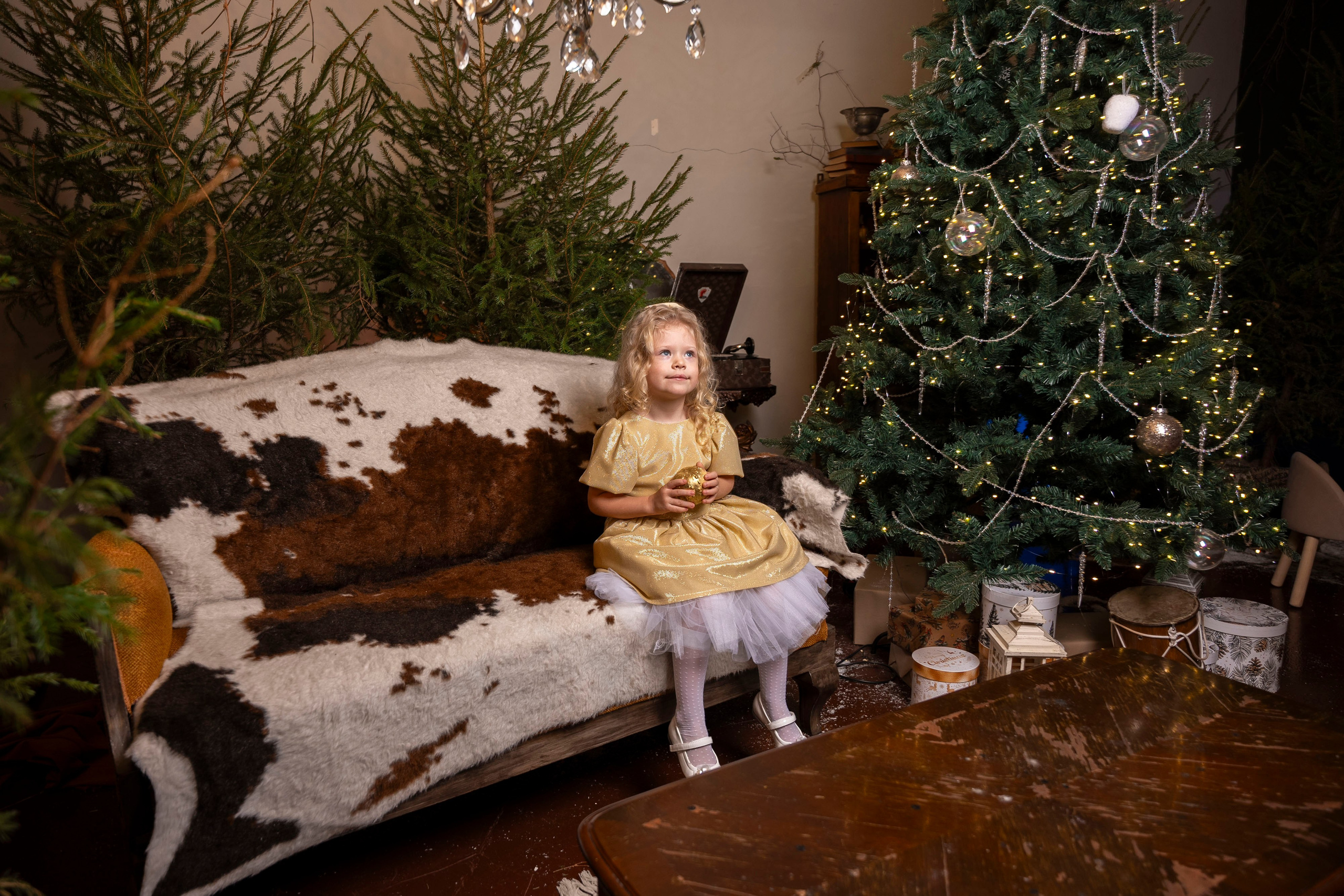 Ника Новый год. Фотограф Юлия Попова