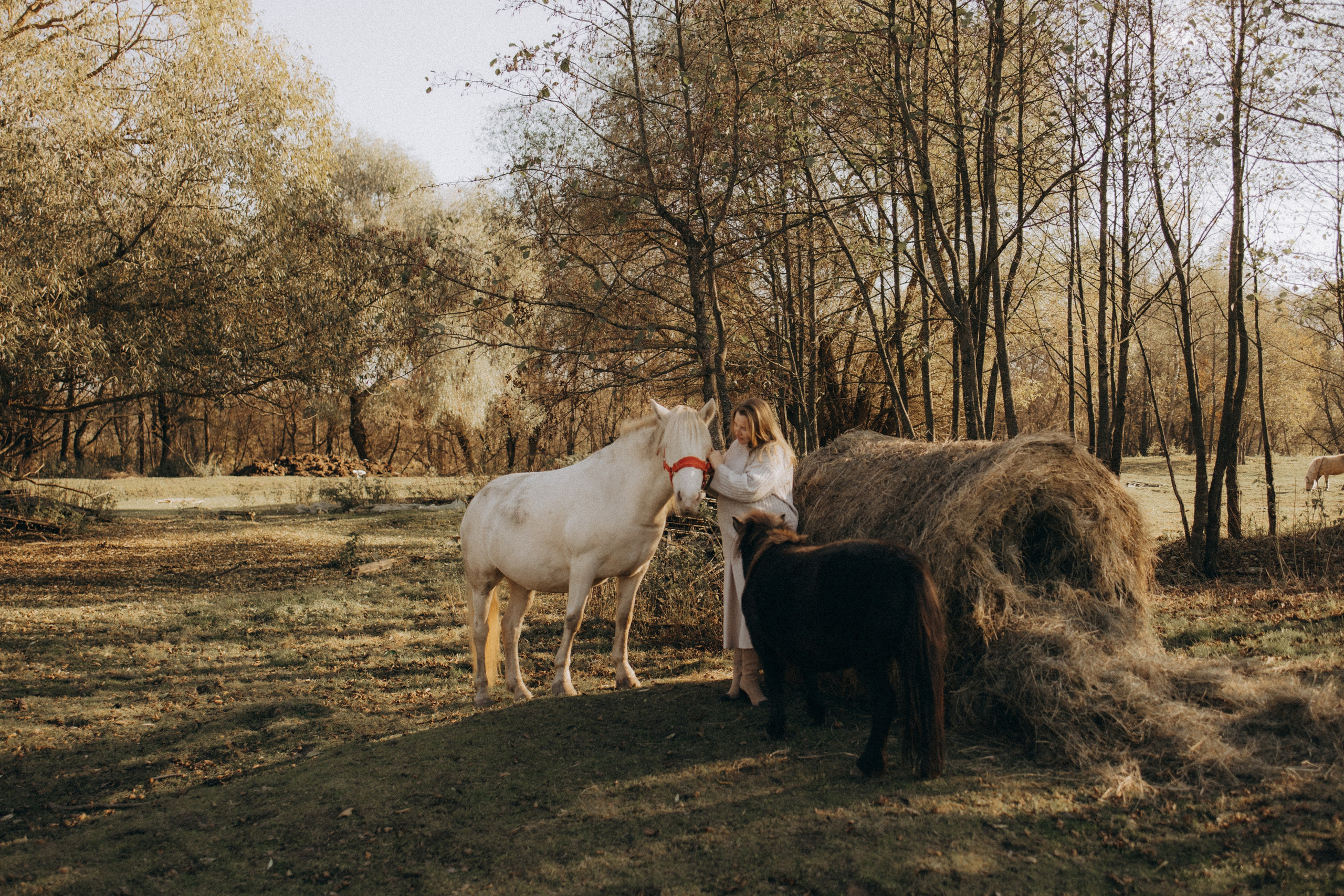 Полина. Фотограф в Туле и Алексине Стулова Мария