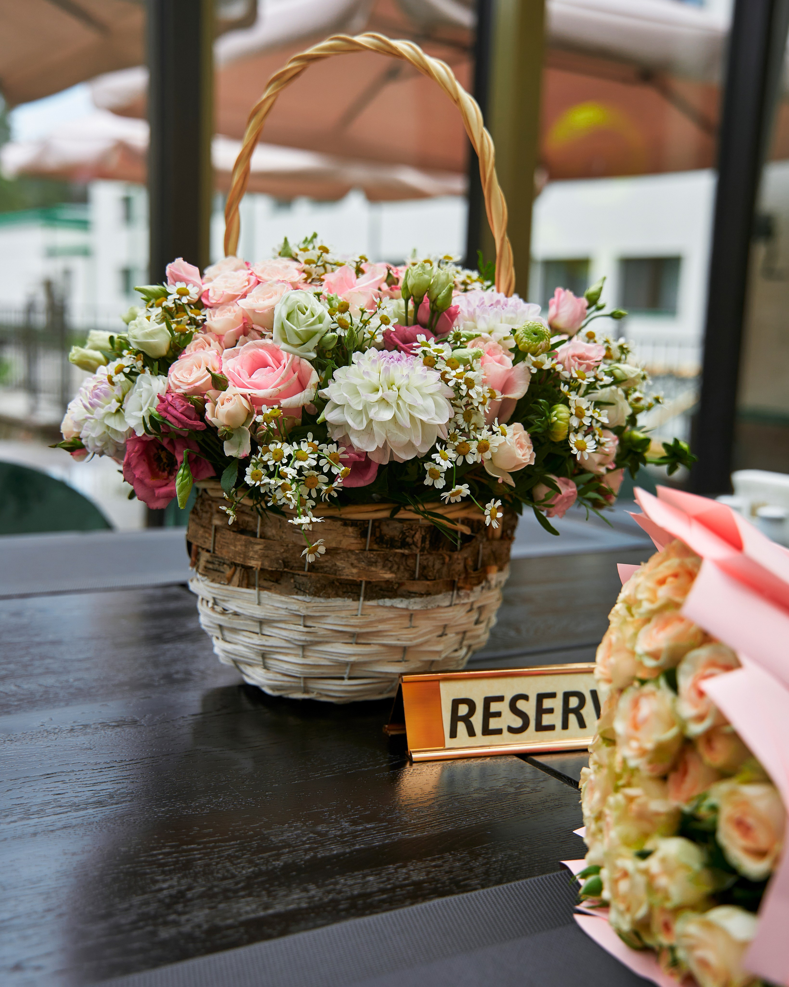 День рождения Шейны. Yankovski_001