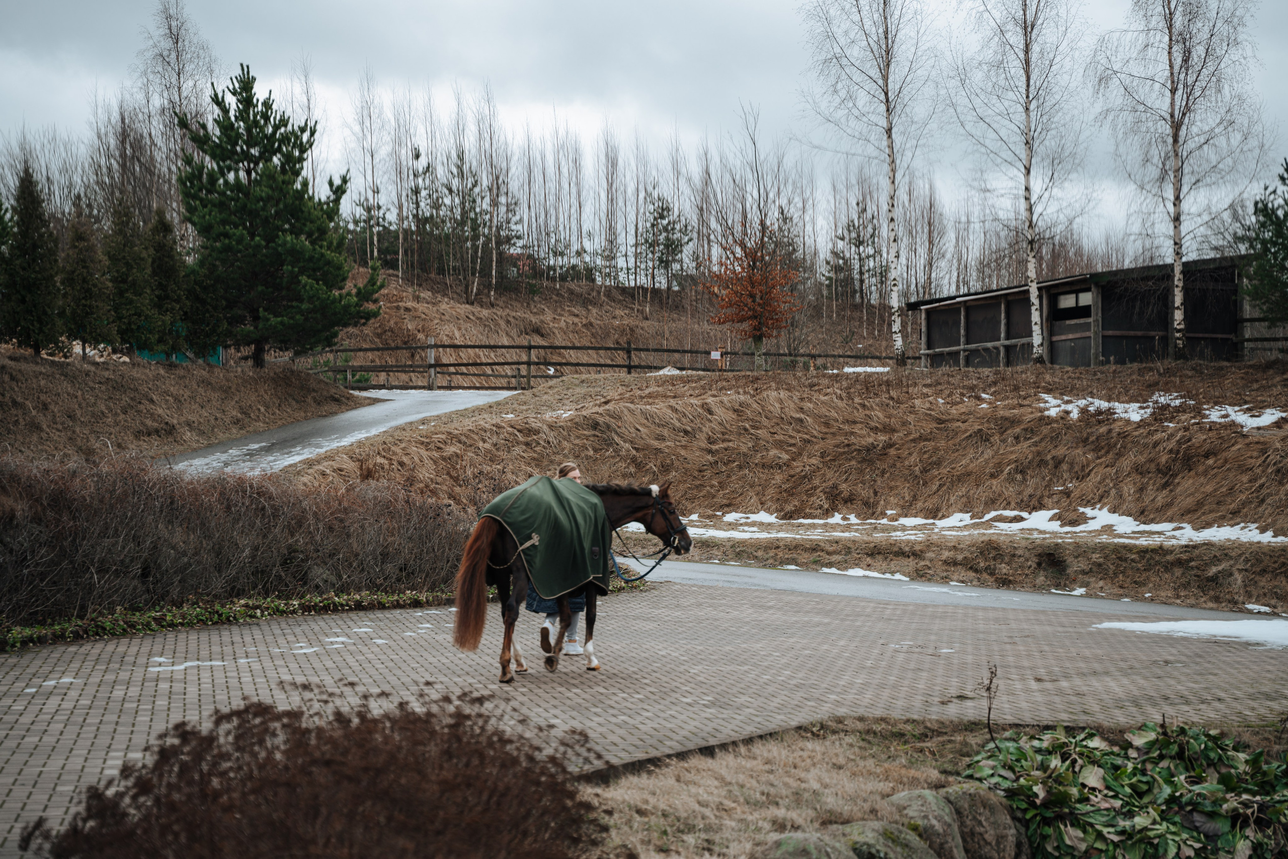 Евгения. Конный клуб. Портретный фотограф в Санкт-Петербурге Дмитриева Наталия