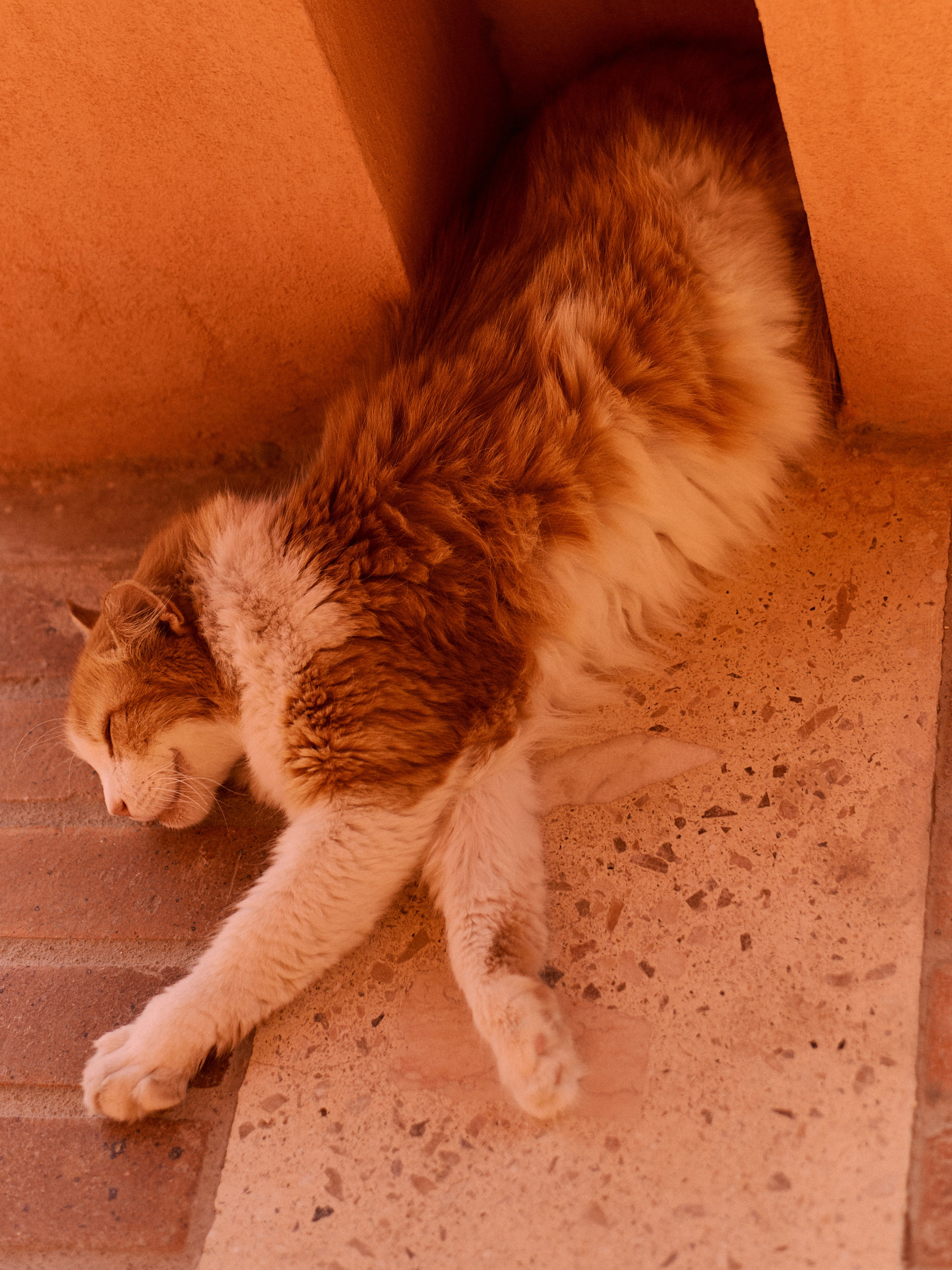 Другое 3. Jorgis Talè — photographer, kind person, teacher of arts and other mag