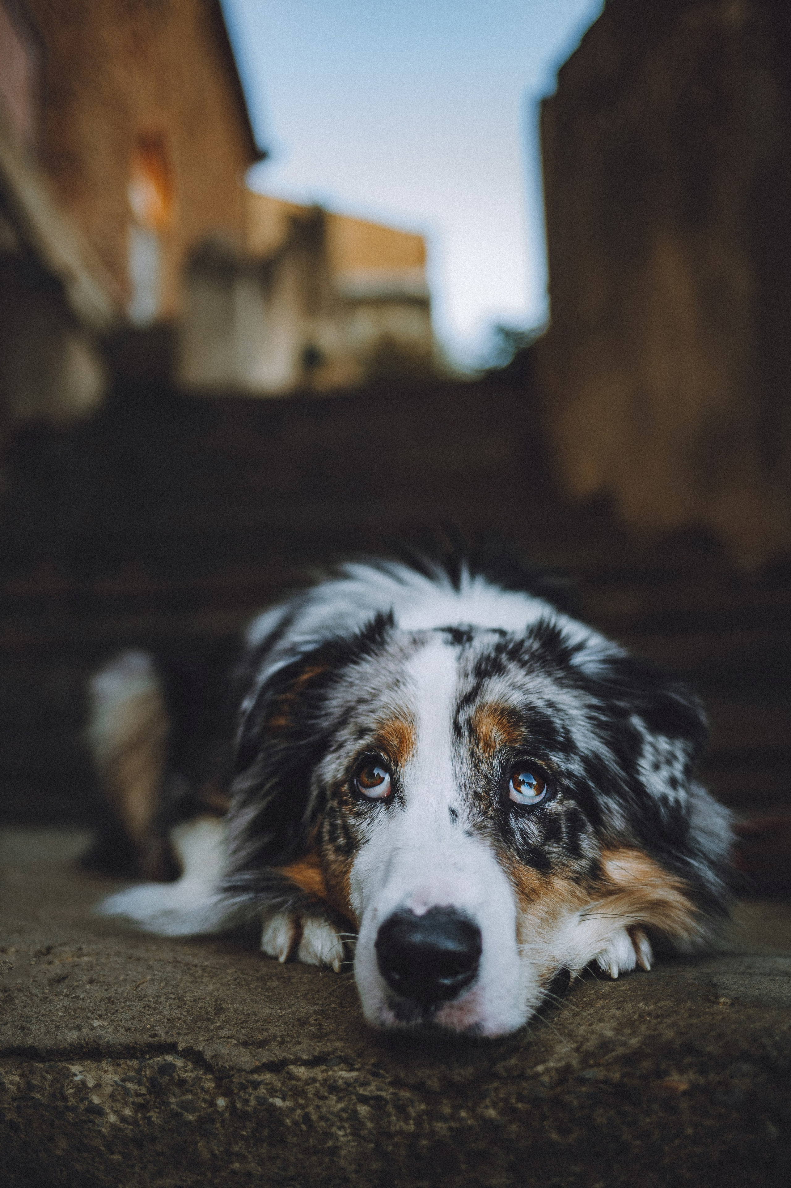 Саша, Рома и Один