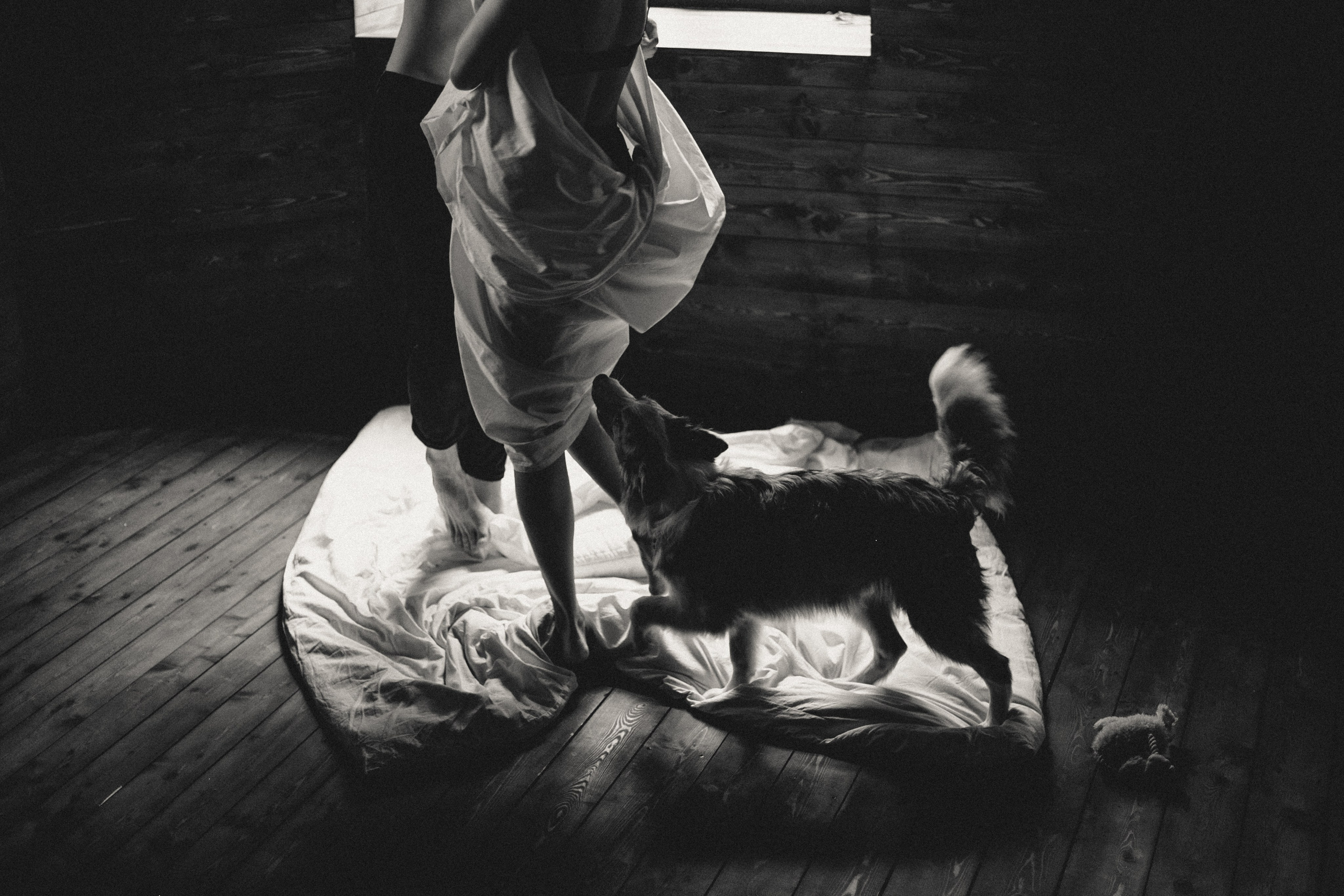 Бесконечно любить тебя. Свадебный и семейный фотограф во Владивостоке Овчинникова Дарья