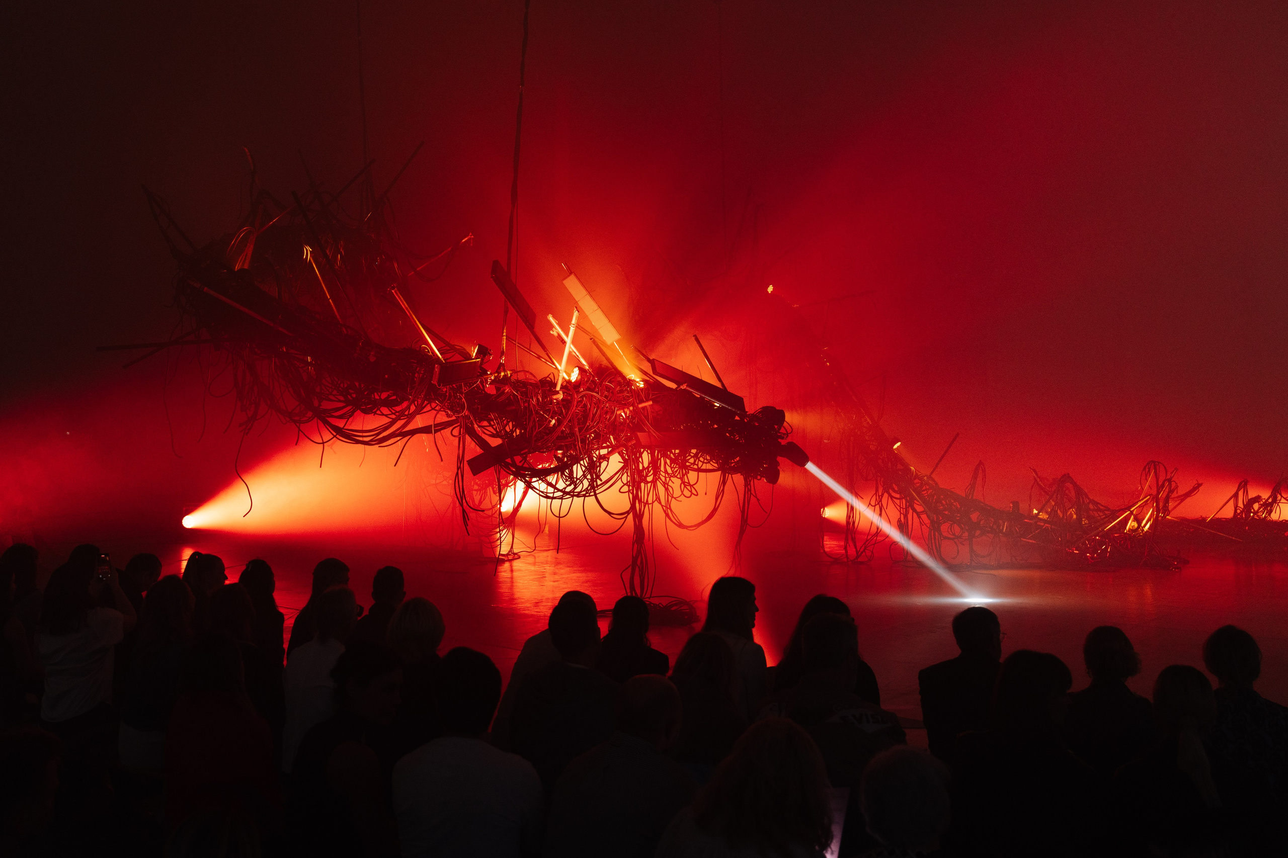 PERFORMA, The Hour of the Horse. @tomrus: Рустам Шагиморданов — фотограф