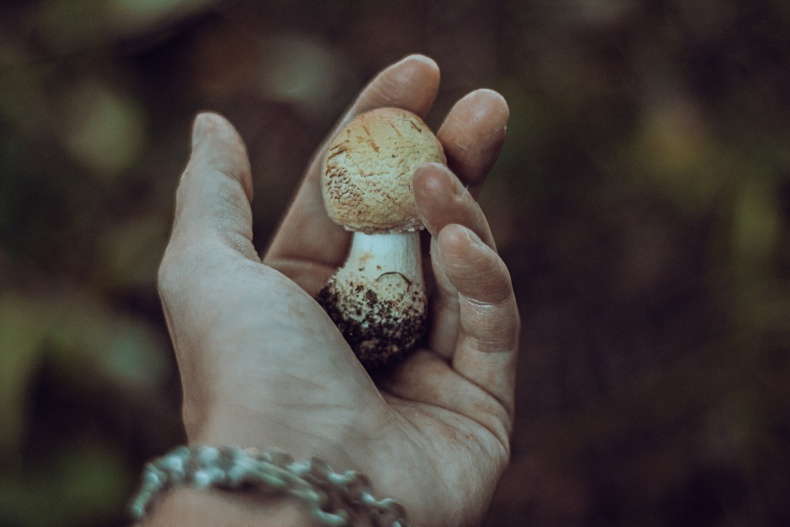 Грибная могила «По мотивам убийства». Фотограф Москва, портрет, стрит, репортаж. Художественная фотосессия