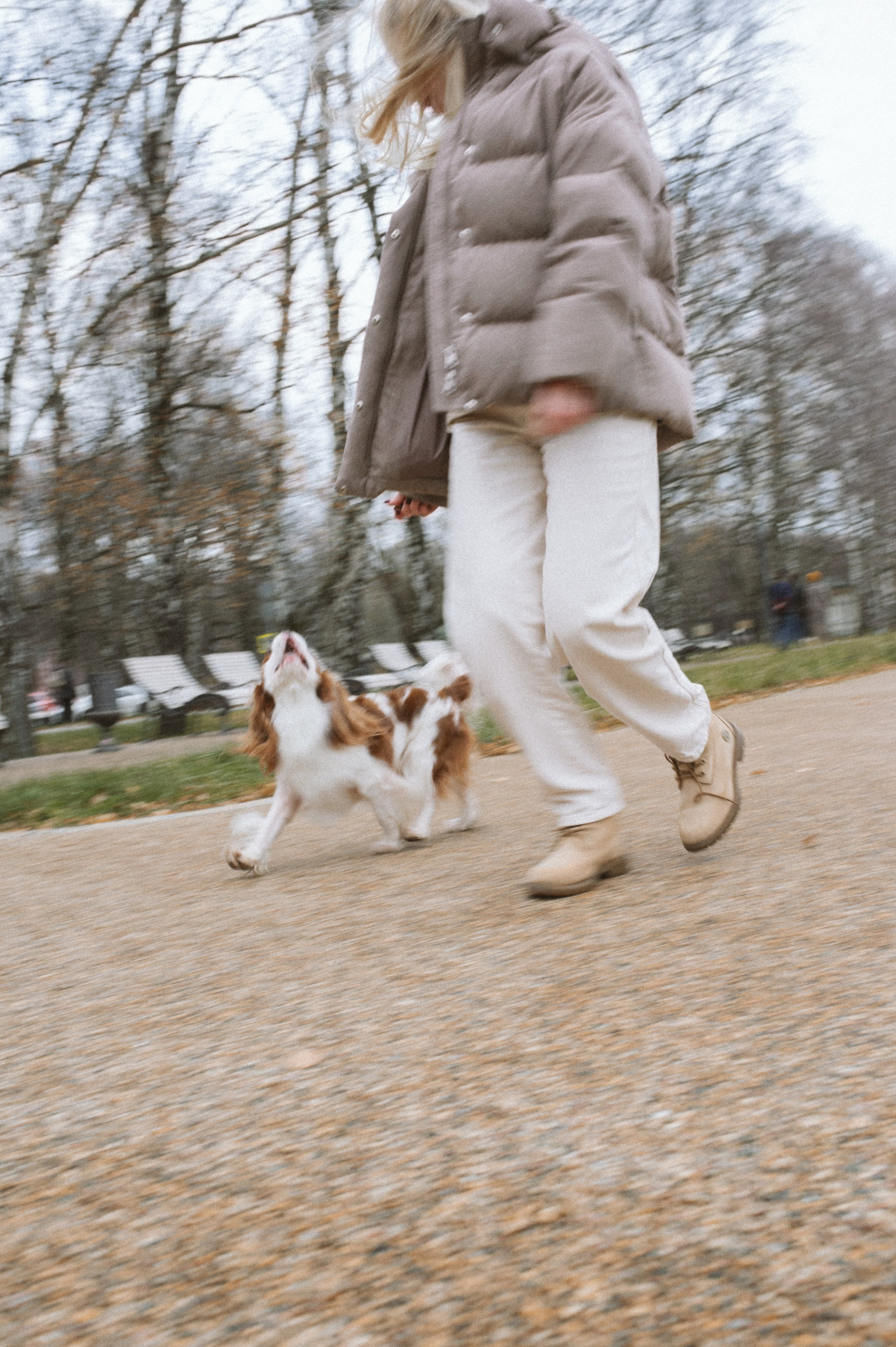Настя и Тэйлор. Фотограф анималист в Москве Ольга Агушева