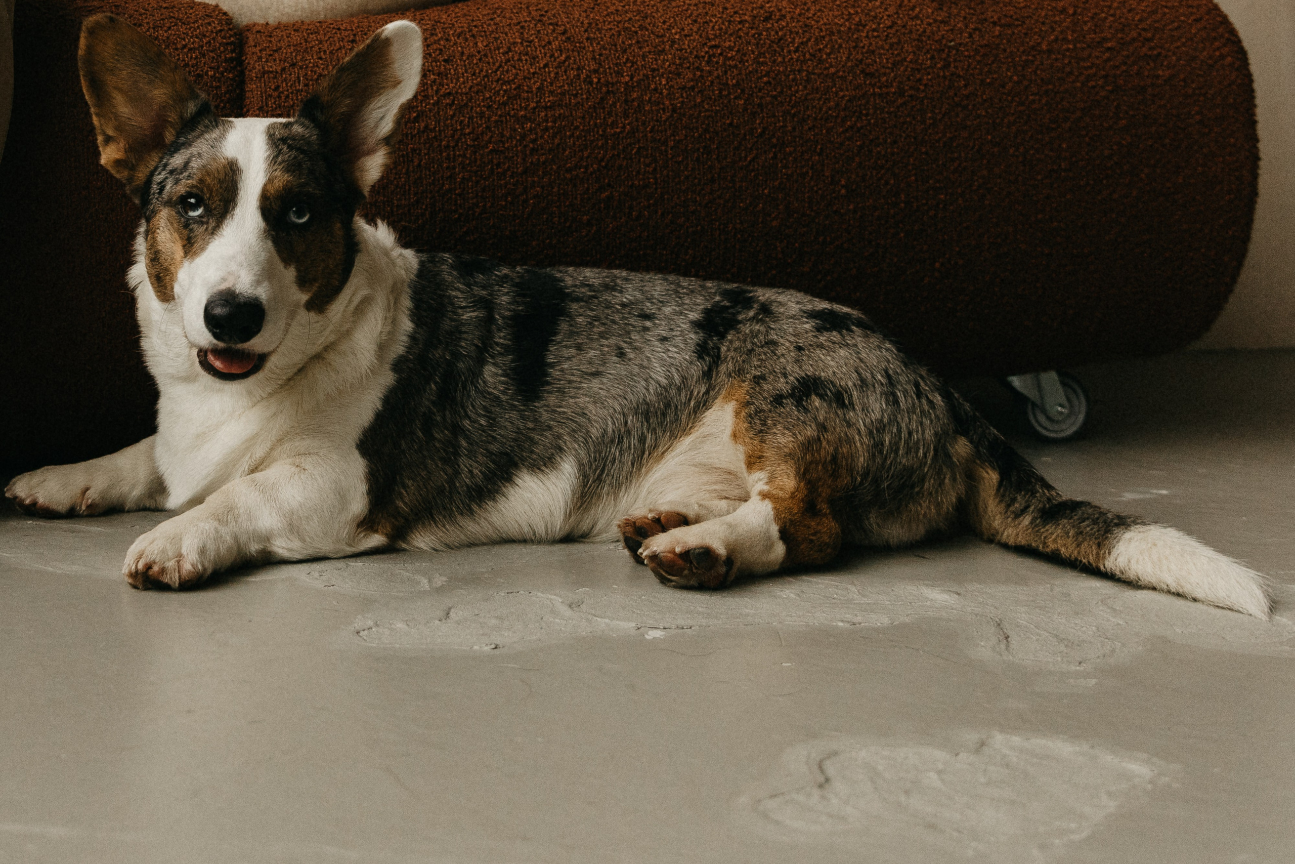 Алена, Виталик, Аня, Сэм. Главная