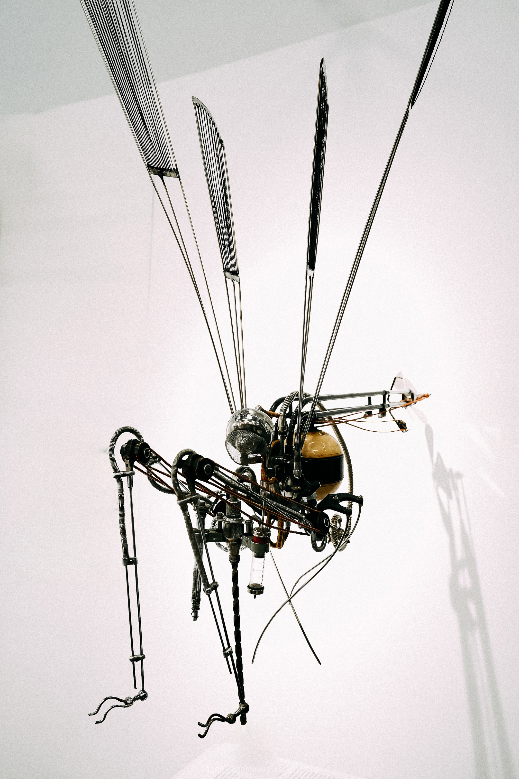 Арт Мир (впечатления). Фотосъемка, свадебная фотосъемка, Москва, Нижний Новгород