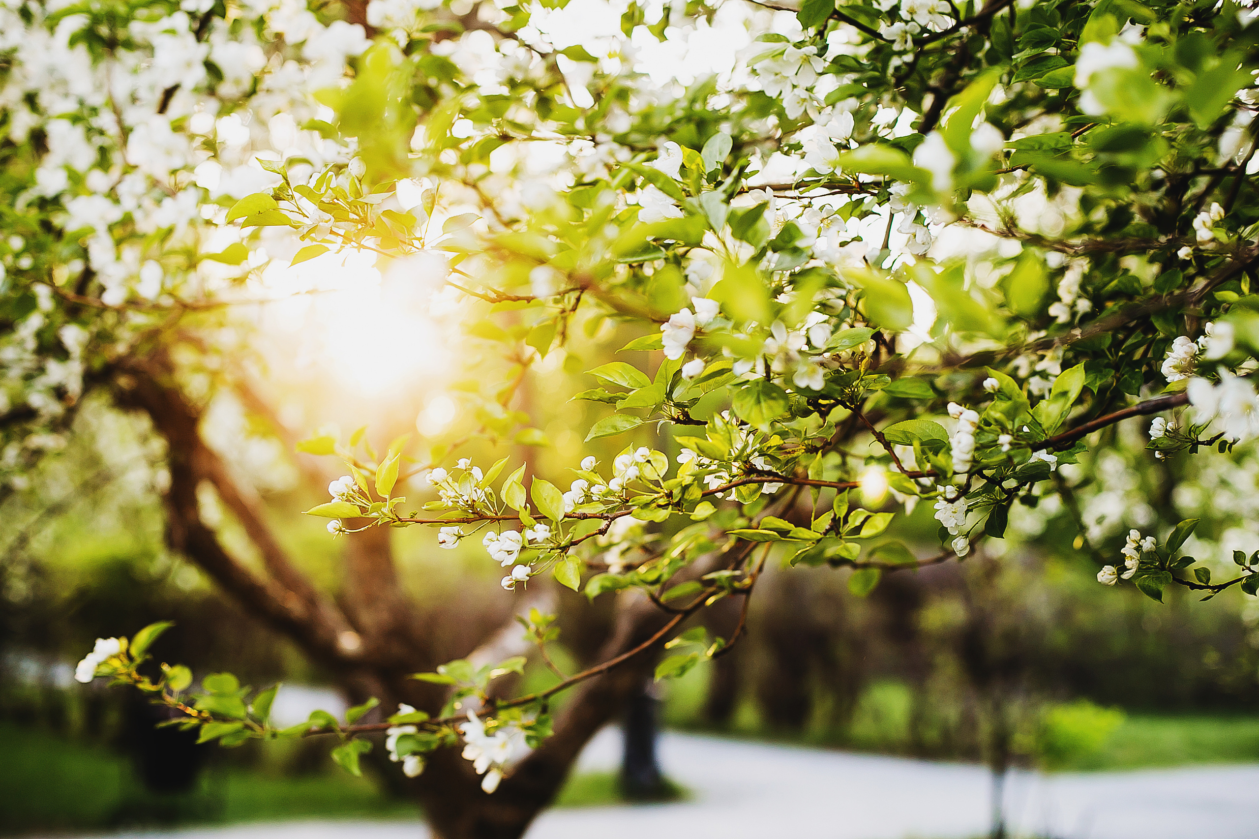 С крестницами. Фотограф Полина Егорова город Тюмень
