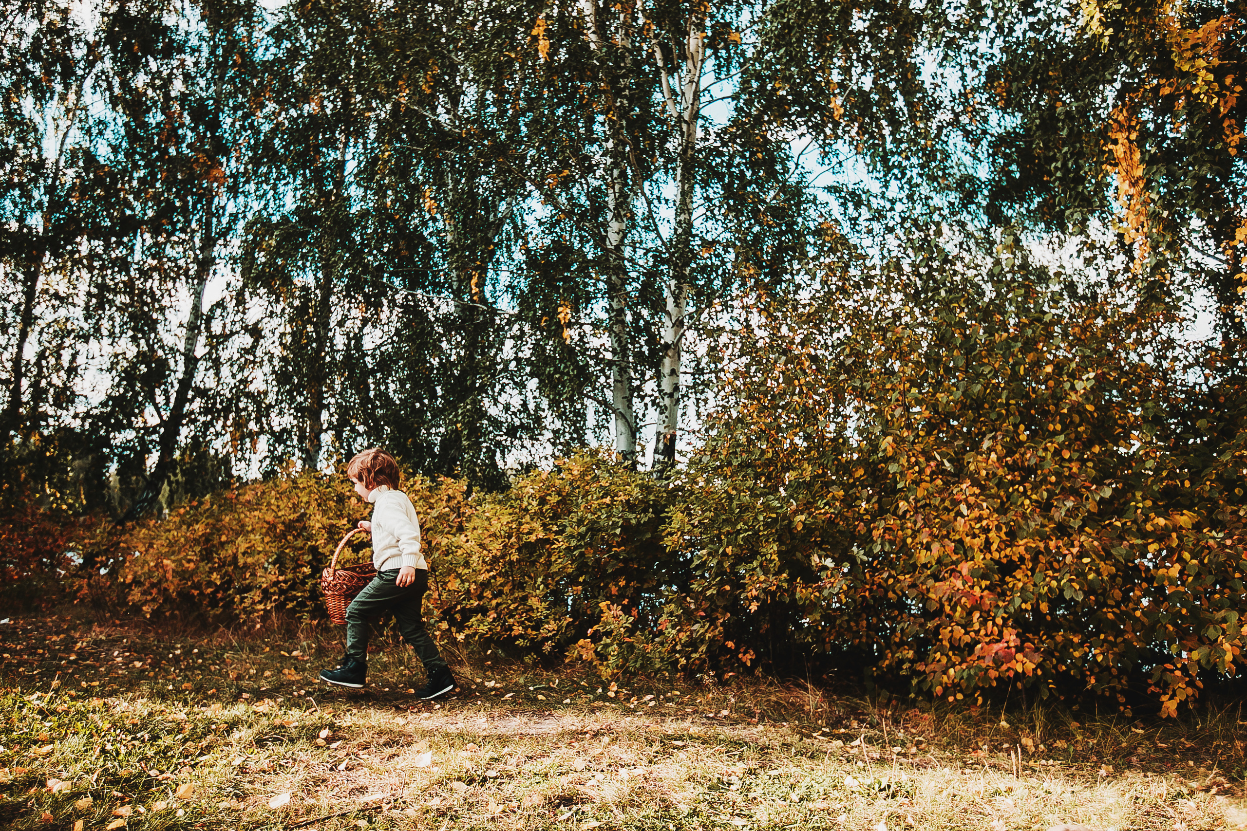 Даня, мама и бабушка. Осенний пейзаж. Фотограф Полина Егорова город Тюмень
