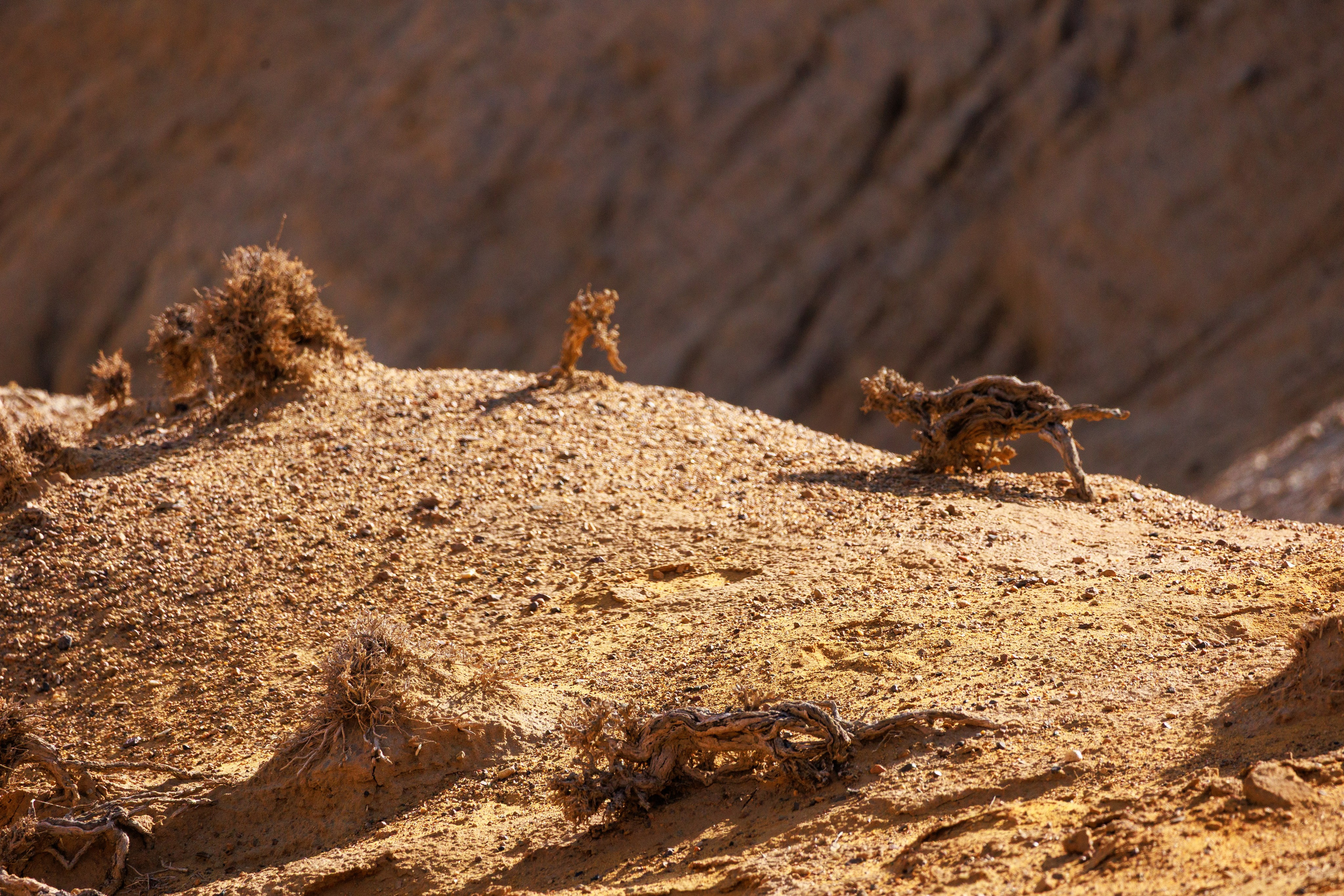 Алтын Эмель горы Актау. Фотограф Мальнева Юлия в Липецке, в Москве. Фотостудия MARU в Липецке
