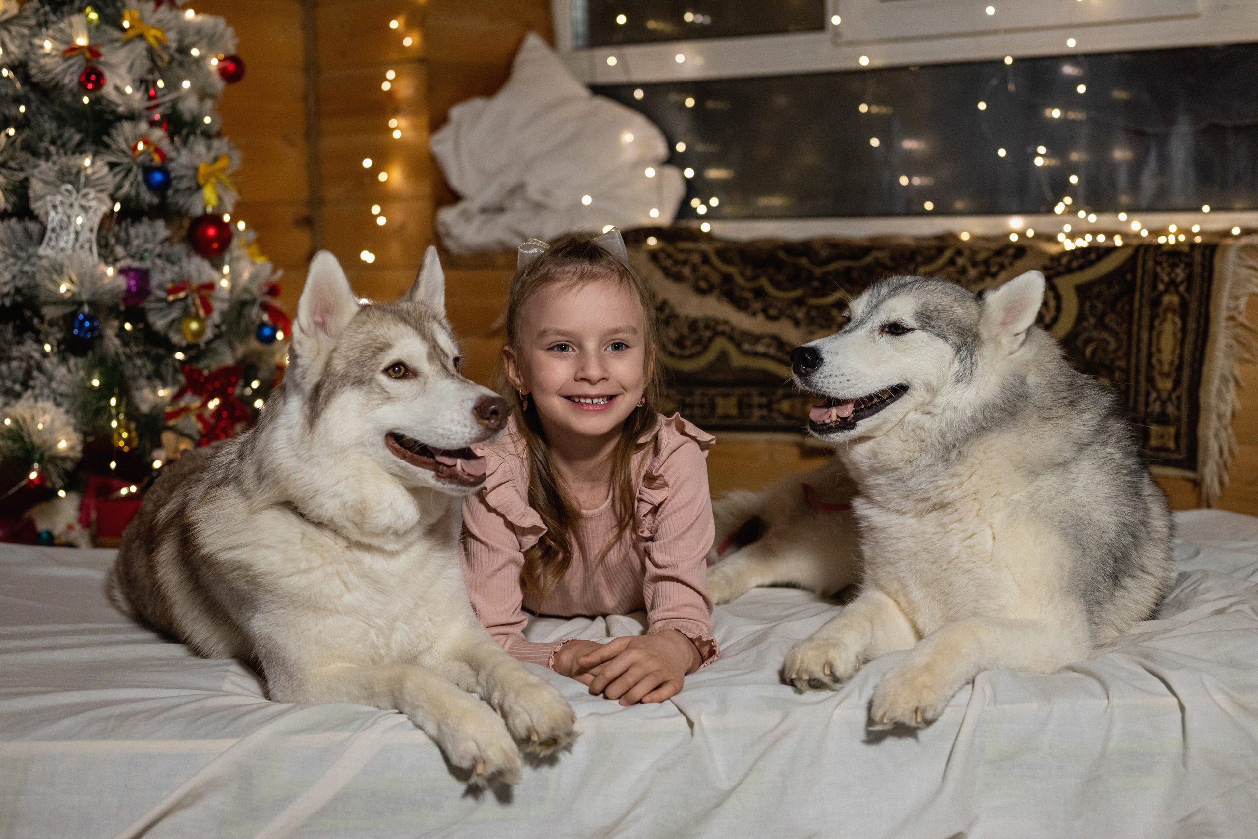 Фотопроект с хаски 2024 г. Фотограф в городе Салават