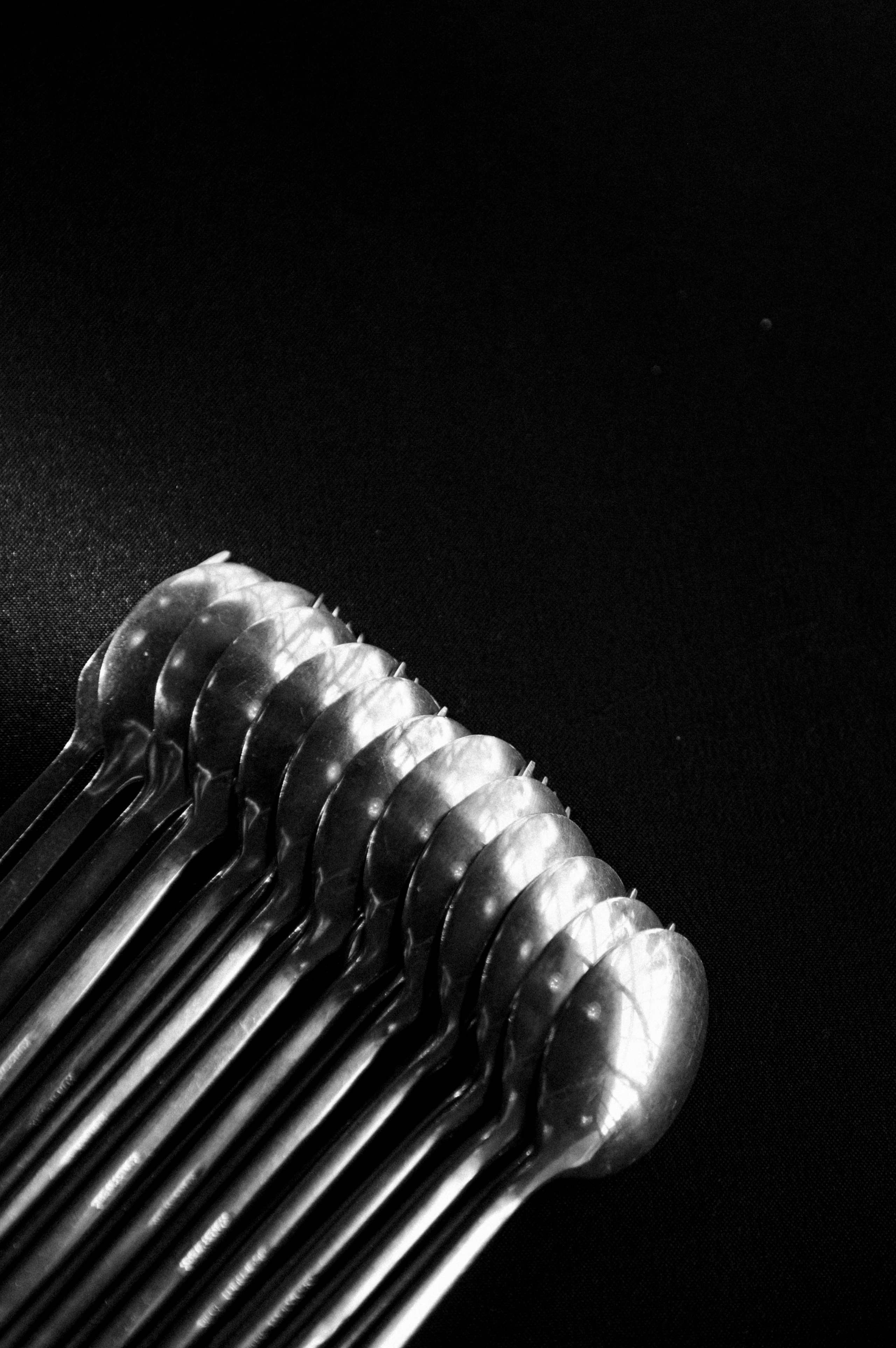 Выпускной. Фотограф Кирилл Ряховский