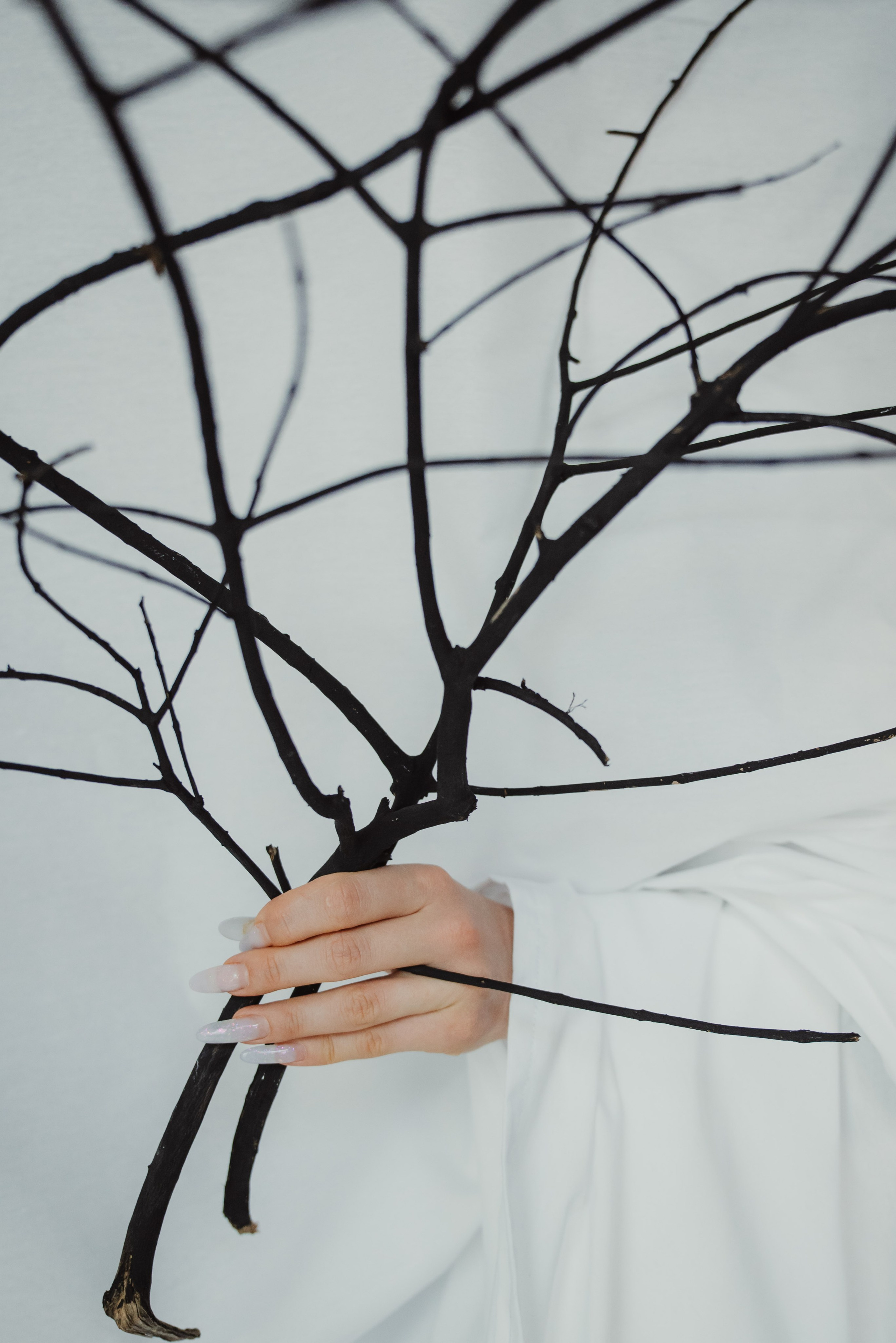 Black and White. Anna Lobanova | Photographer