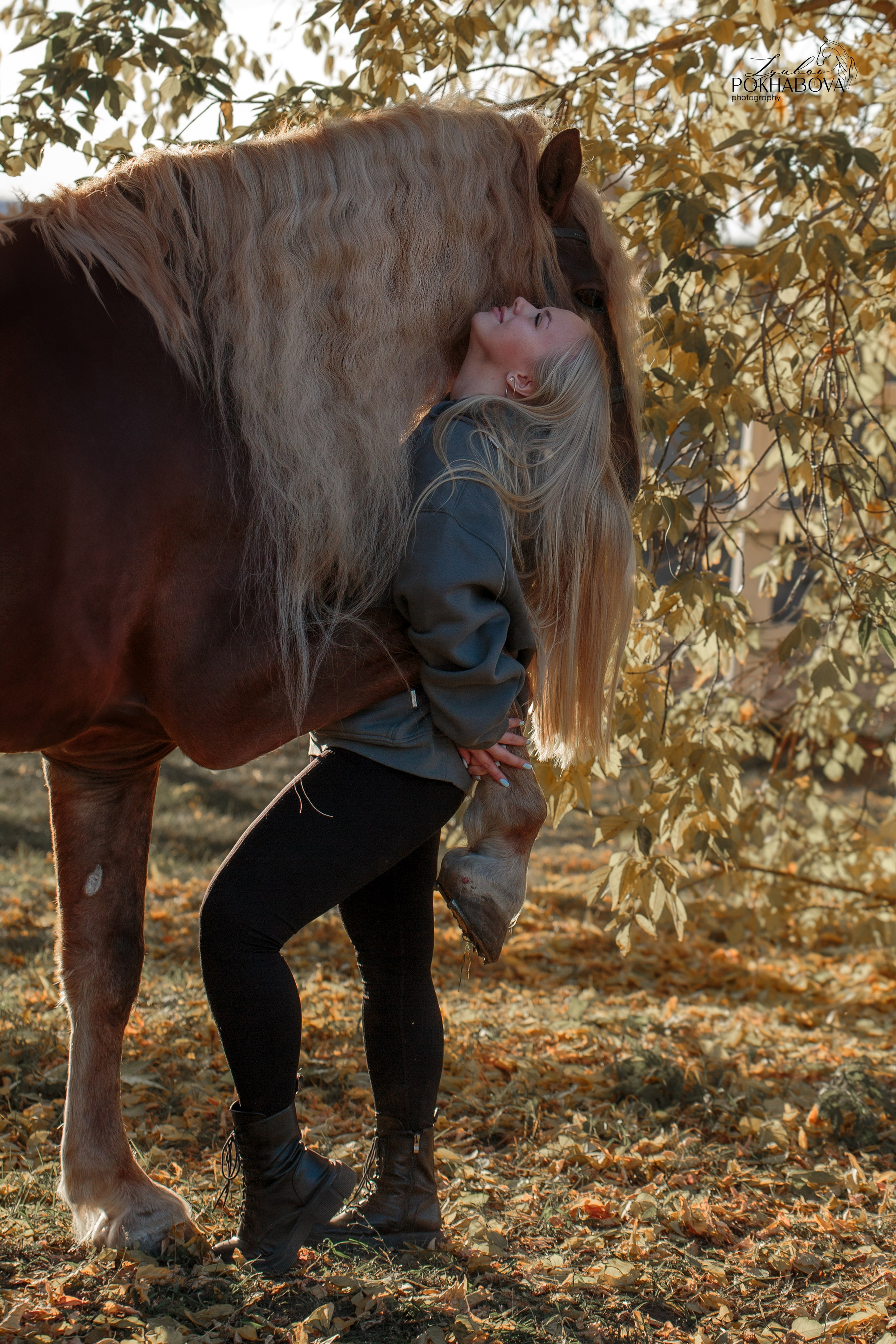 Карета 24. Конный фотограф в Красноярске — Любовь Похабова