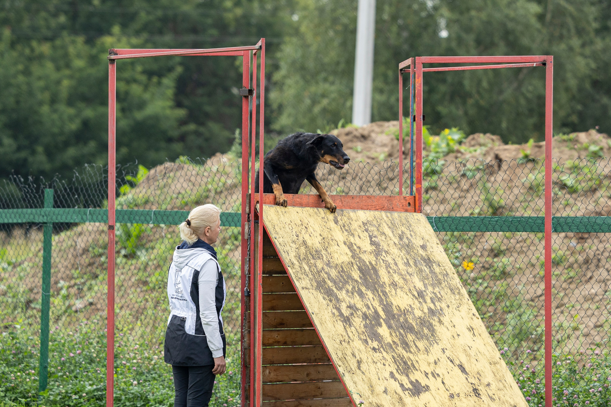 Соревнования по Мондьорингу г. Вологда 10-11.08.2024. Фотограф-анималист Анна Маринич
