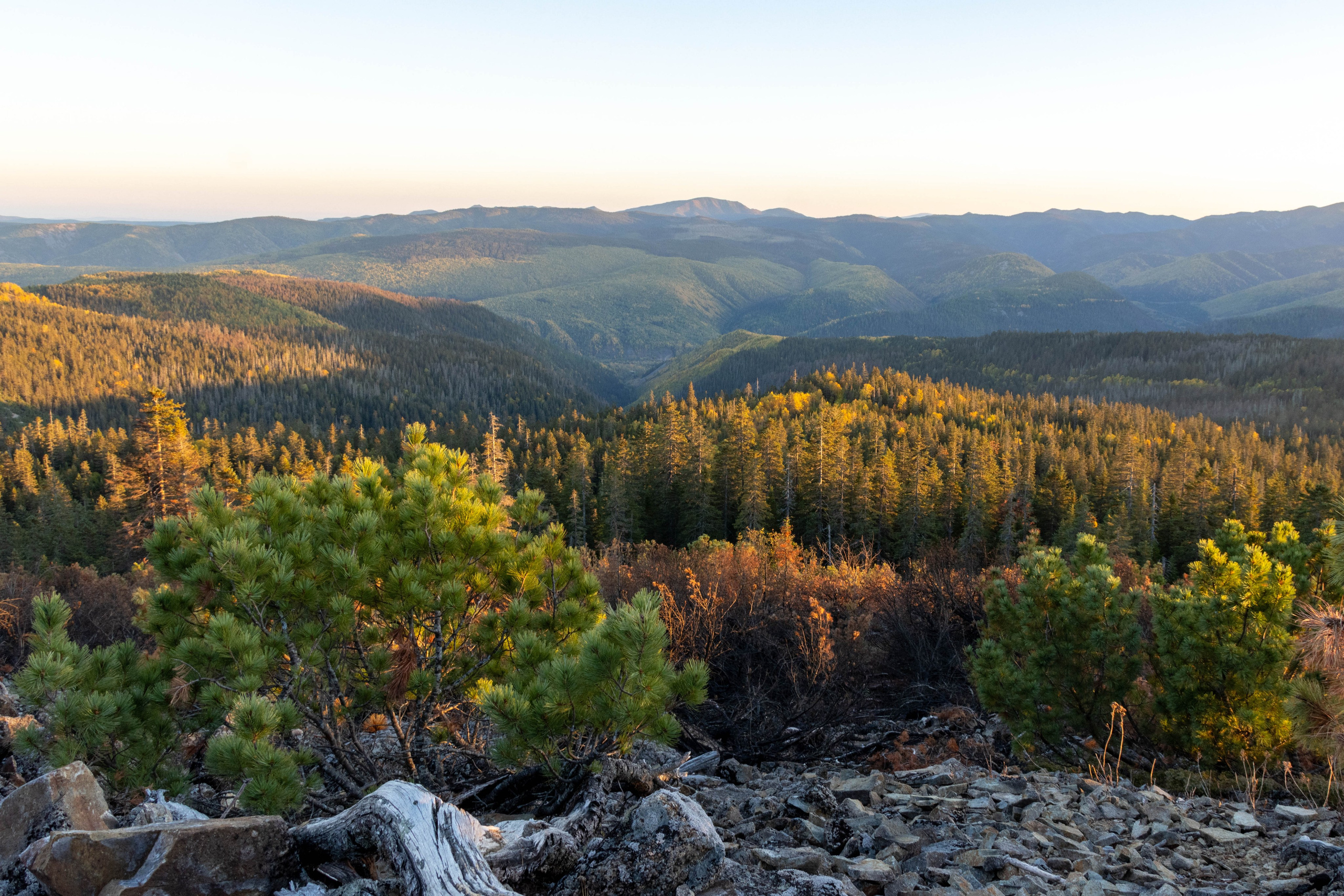 гора Лысая Солнечного района Хабаровского края.