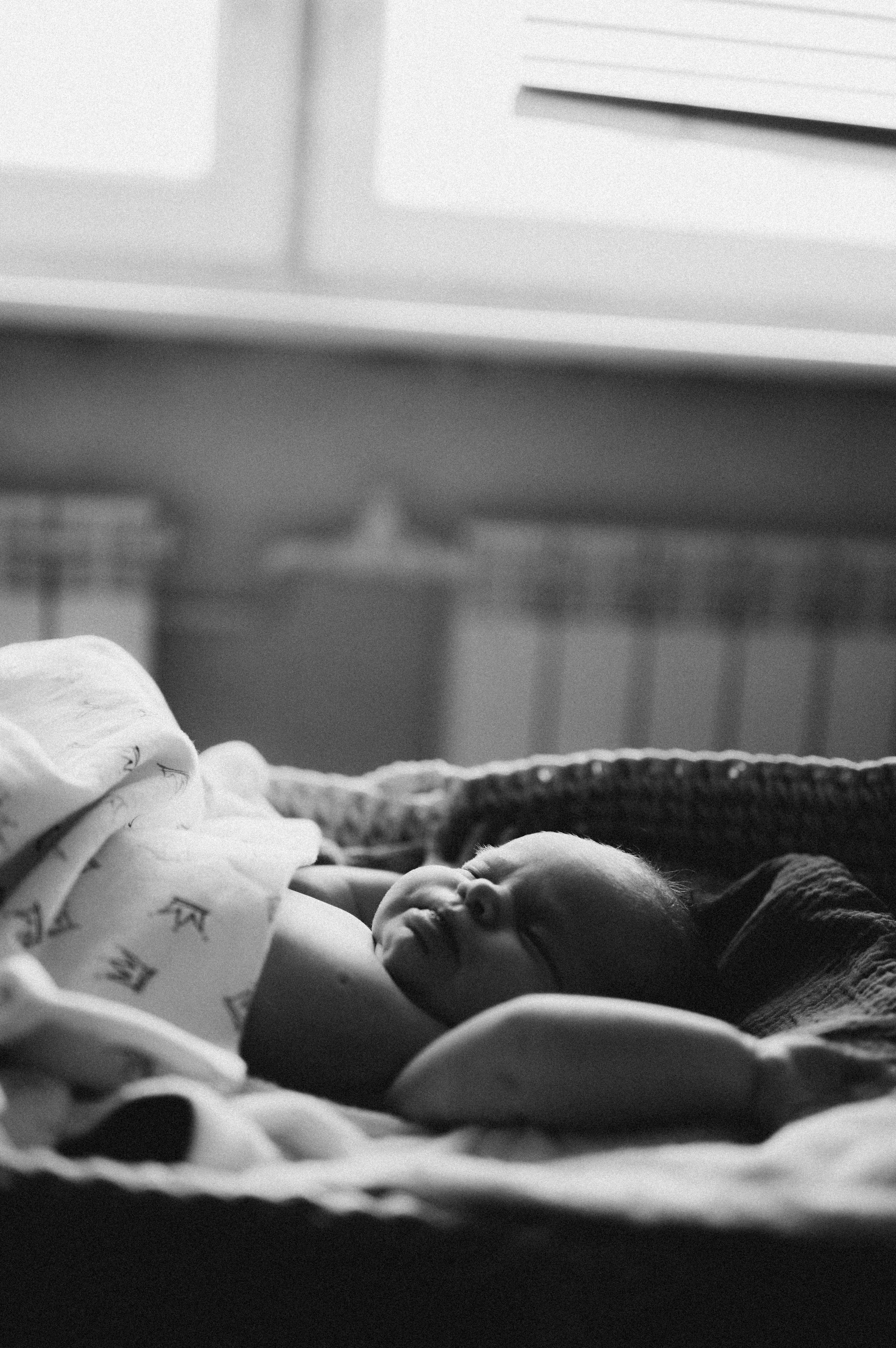 Новорожденные. Фотограф новорожденных и беременых в санкт-петербурге Юля Лампа