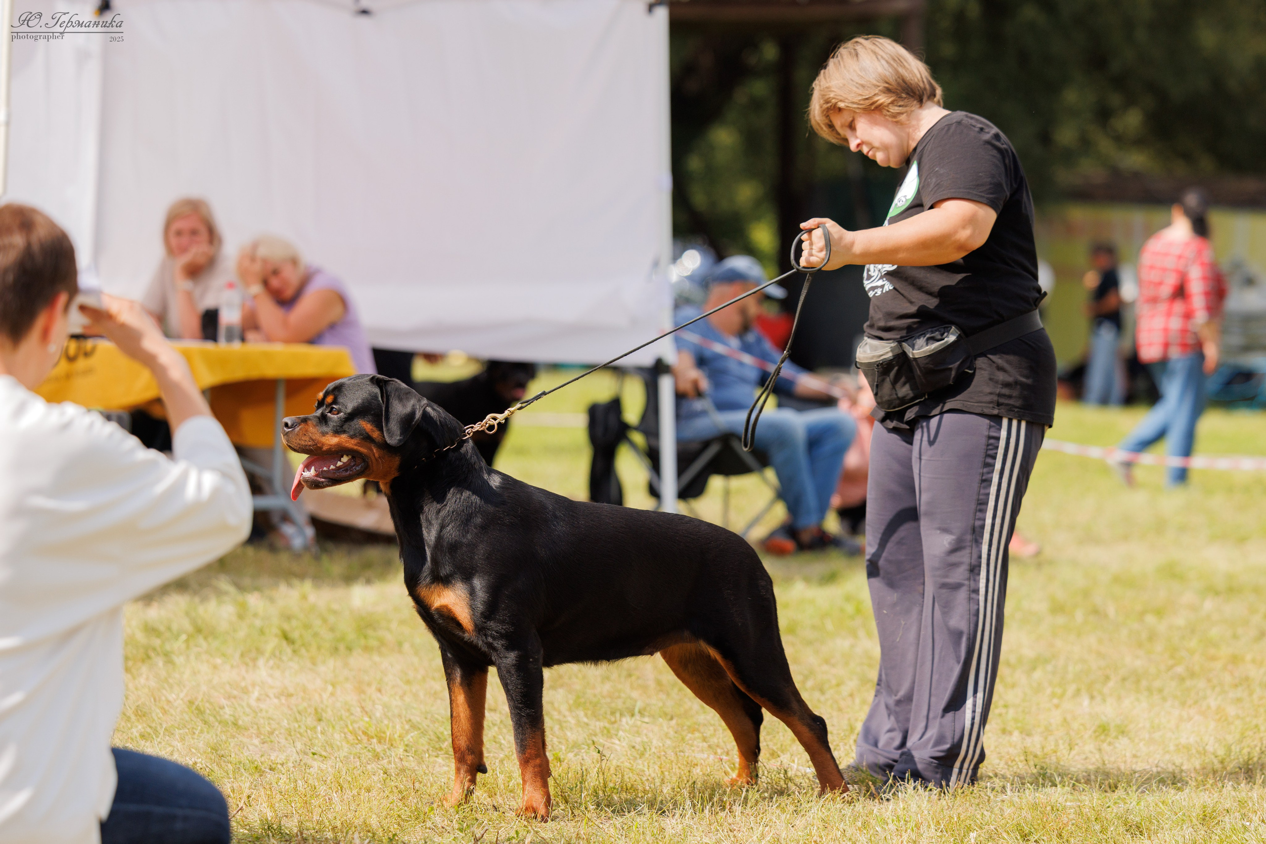 Рязань 2хмоно ротвейлеры 16-17.08.2025. Фотограф-анималист Юлия Германика