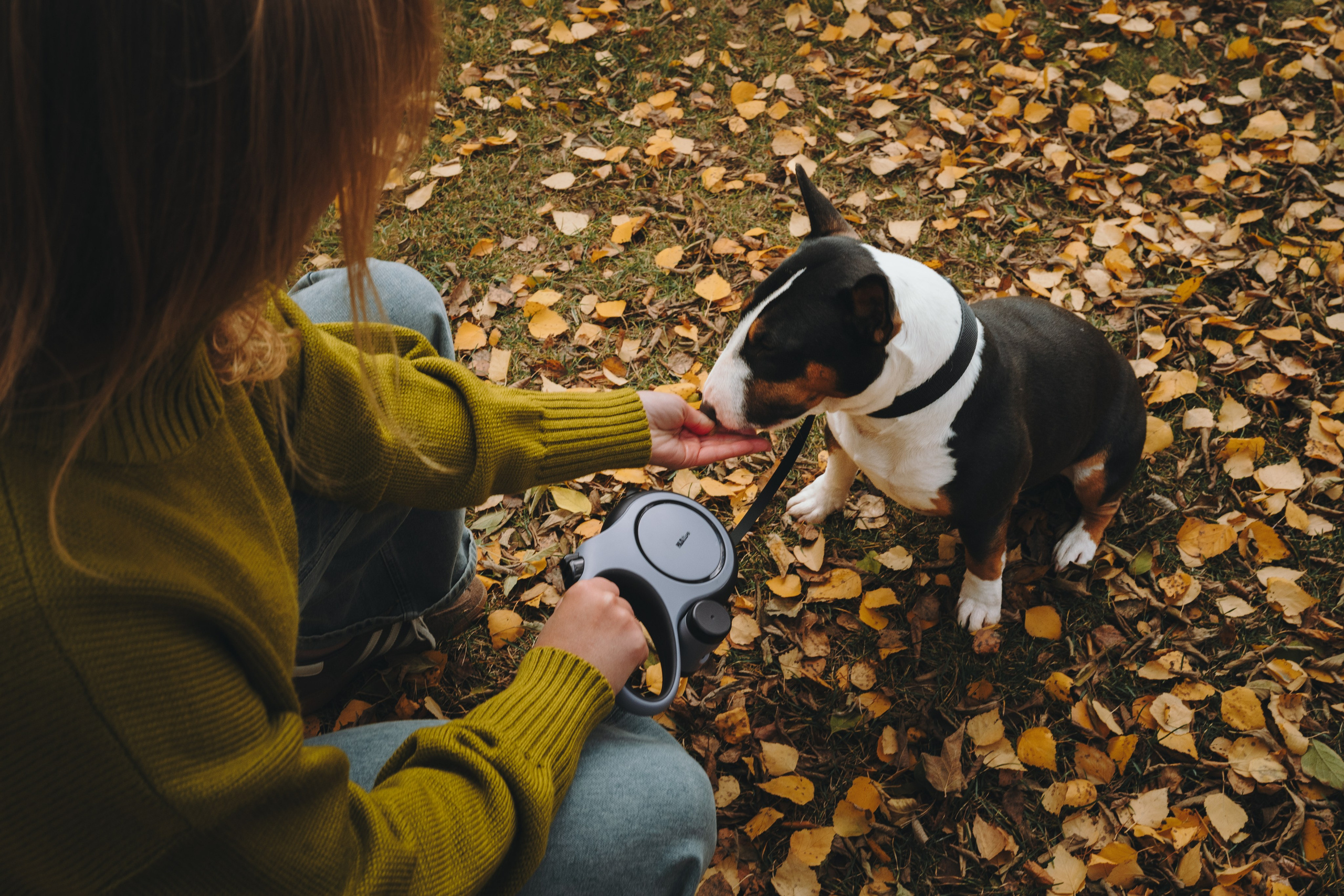 Pawsitive. Семейный фотограф анималист Ананьева Мария — Москва