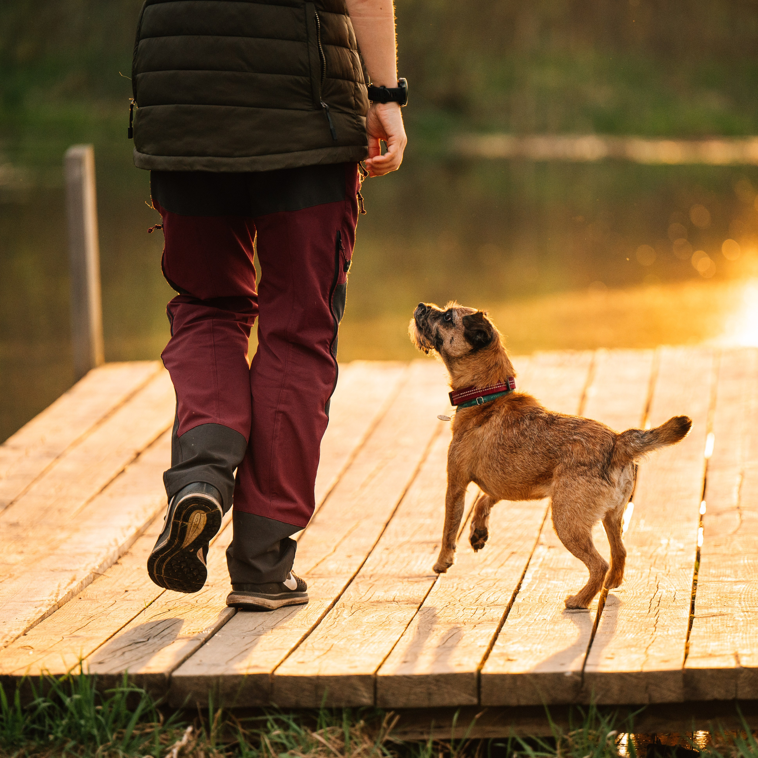Алия, Ирвин и Грут. Семейный фотограф анималист Ананьева Мария — Москва