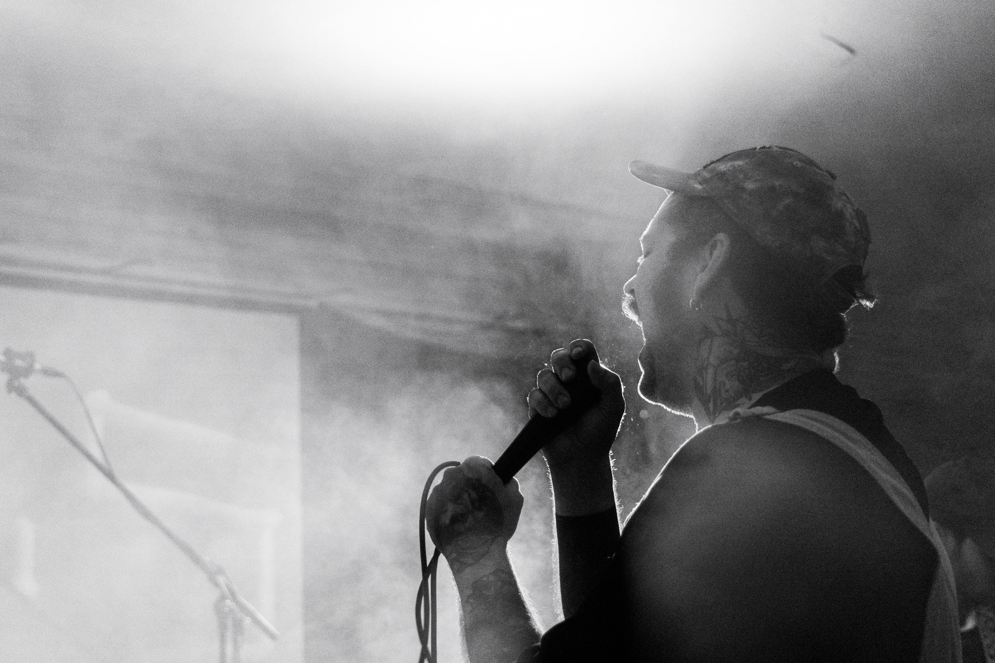 Змееед, Apodemus, 20.12.25, TAGO)))MAGO)))