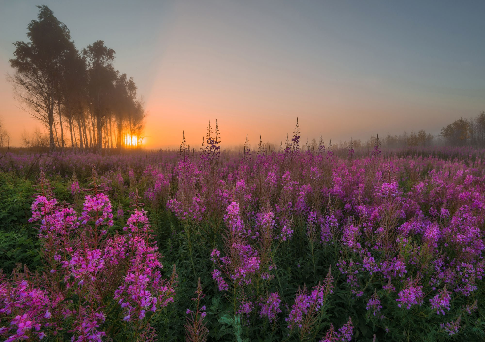 Фотографии Европейская часть России