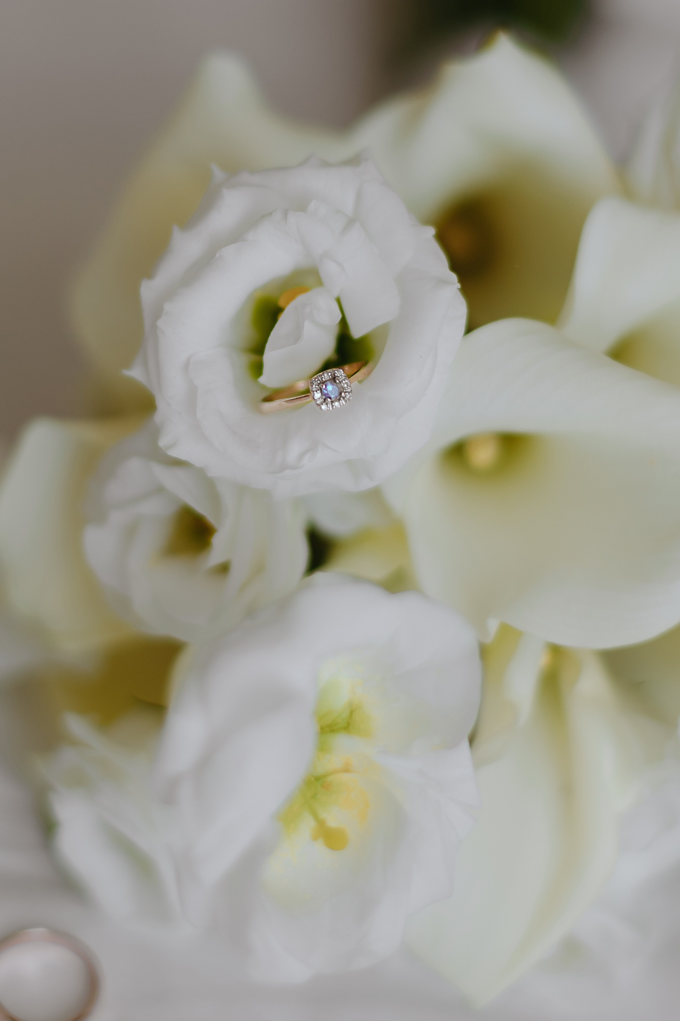 Я принёс тебе весну. Свадебный и семейный фотограф Арина Кулёва