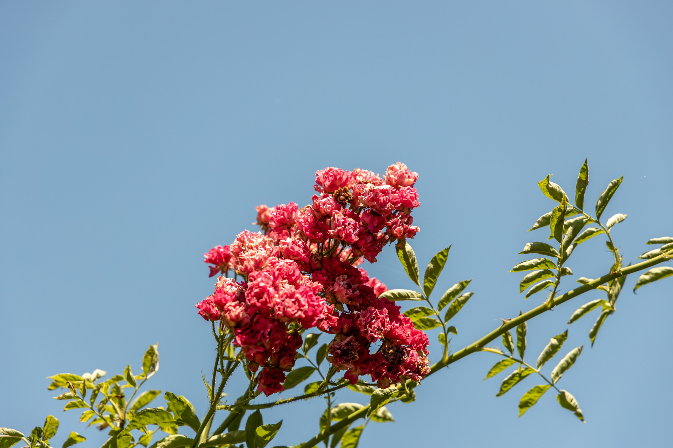 Сочи. Солох Аул. Репортажный, семейный и студийный фотограф в Москве Демин Алексей