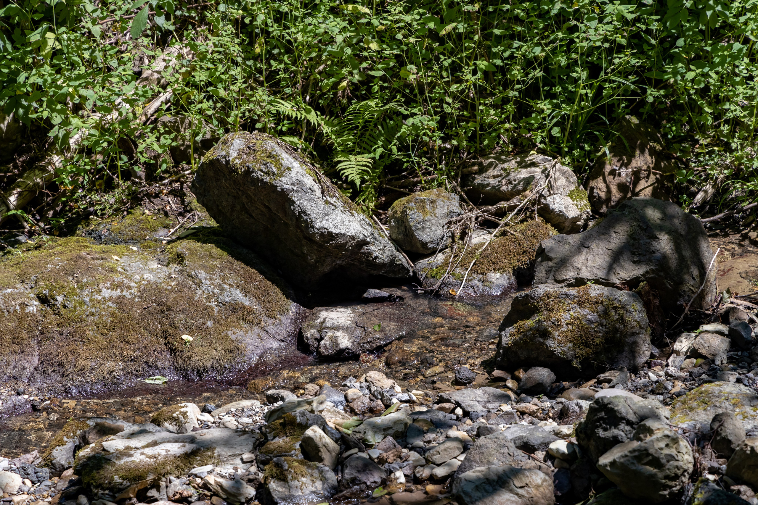 Сочи. Солох Аул. Репортажный, семейный и студийный фотограф в Москве Демин Алексей