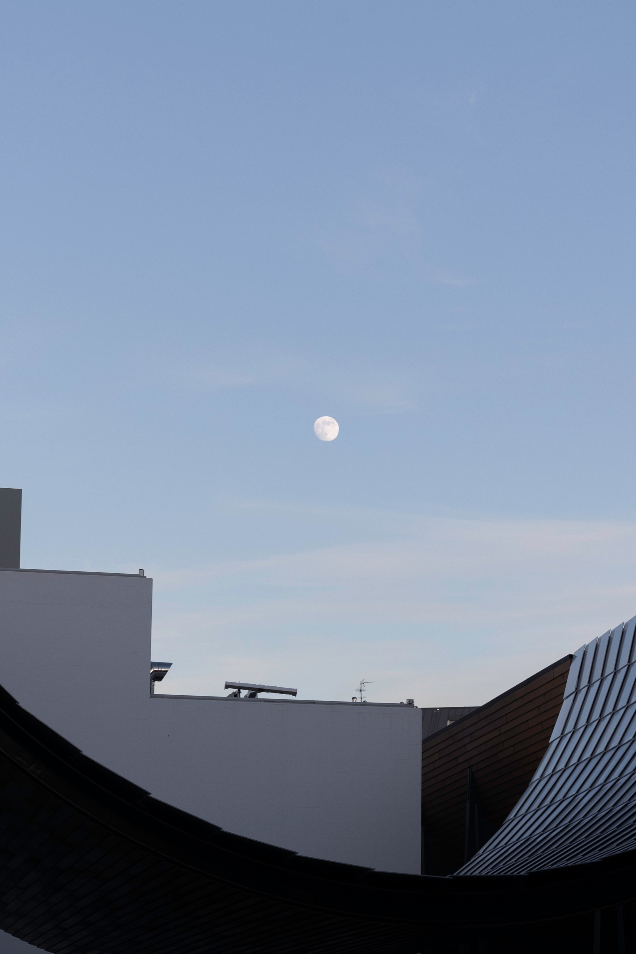 Art prints. Фотограф алина стерхова, алина стерхова фотограф, фотограф москва