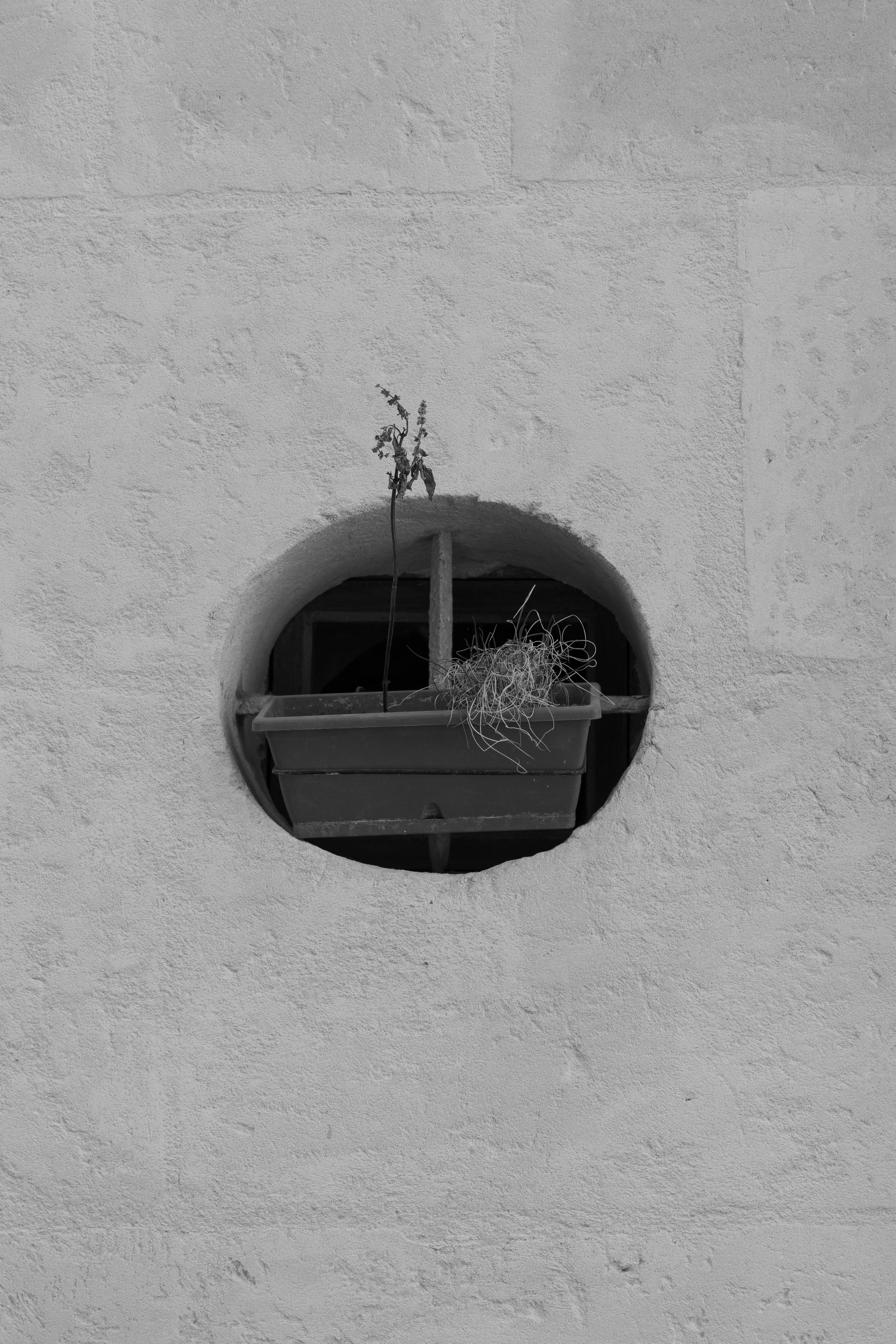 Точка сборки | The assembly point. Фотограф алина стерхова, алина стерхова фотограф, фотограф москва