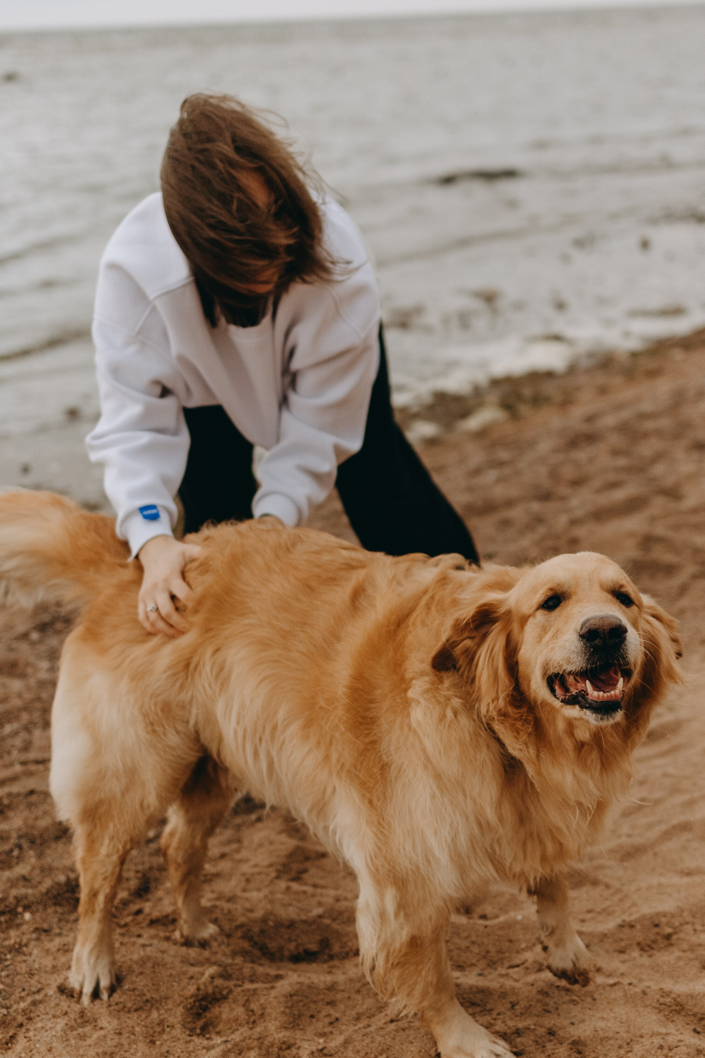 Фоси и его семьи. Фотограф — Анималист | Санкт-Петербург