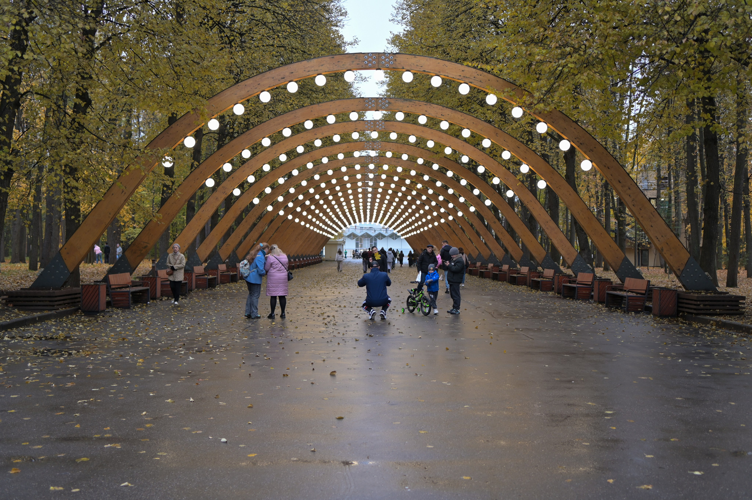 20241026 Сокольники. Дмитрий Ремизов. Фотография, как хобби