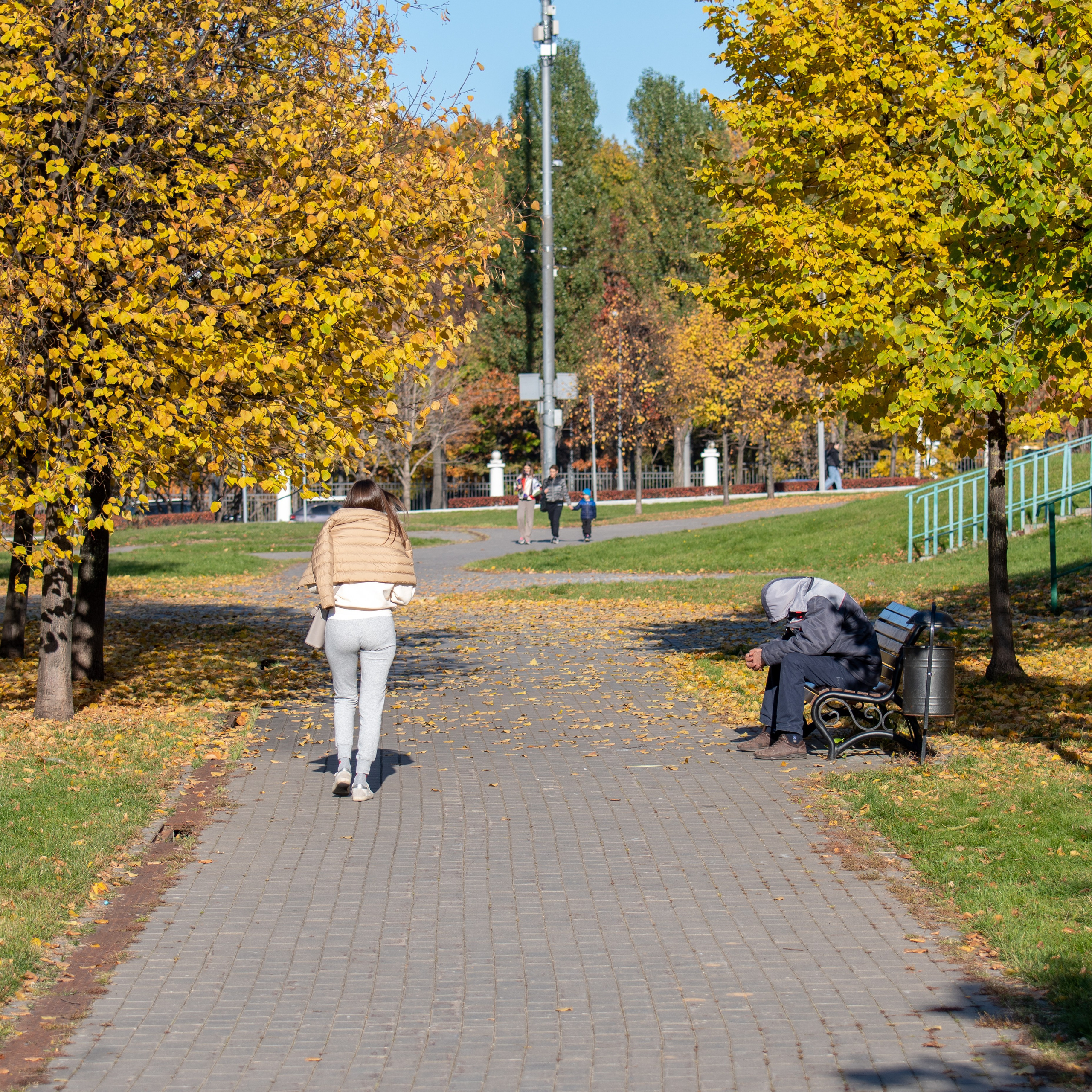20211010 МГУ. Дмитрий Ремизов. Фотография, как хобби