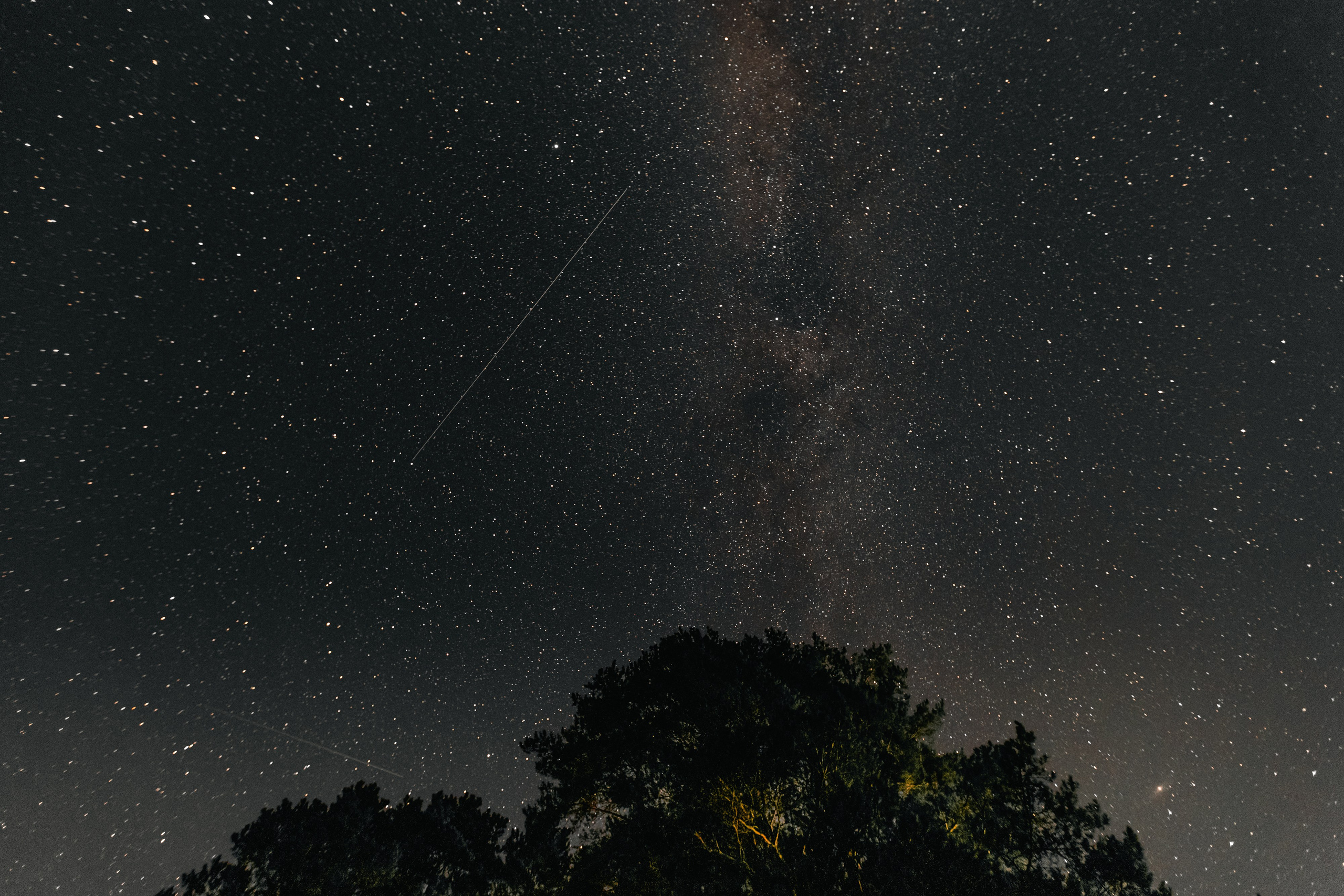 VI ОТКРЫТЫЕ КИНОЛОГИЧЕСКИЕ СОРЕВНОВАНИЯ. ЧЕЛЯБИНСКАЯ ОБЛАСТЬ 2025. Репортажный фотограф Наталья Лапцевич