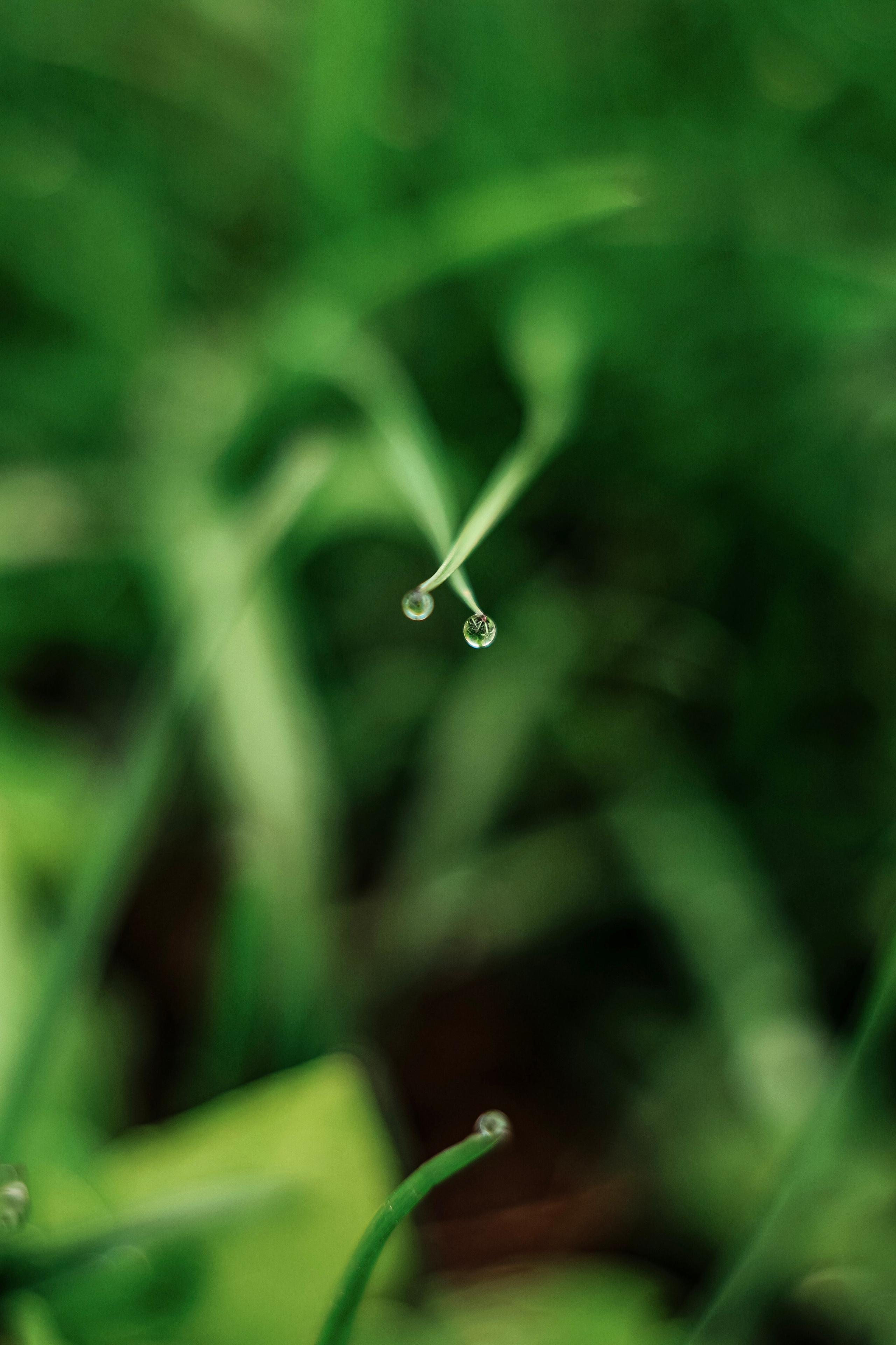 Природа. Фотограф Ольга Мурзина