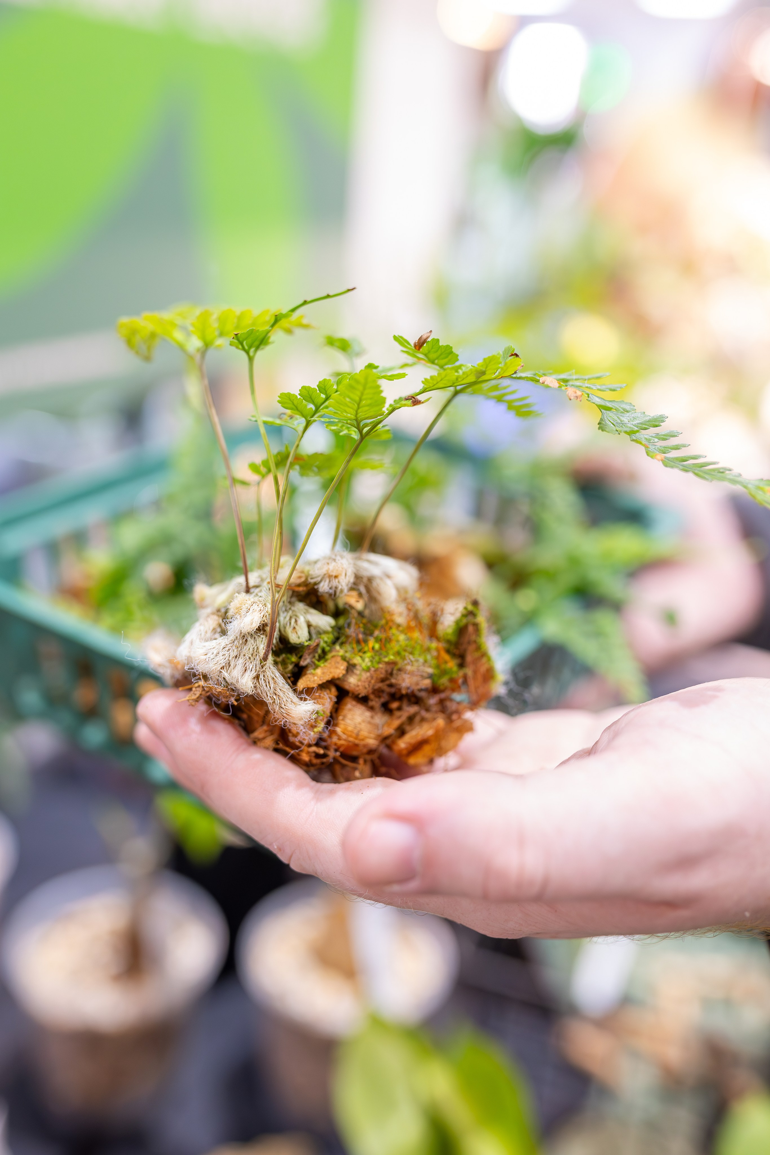 Монстериум 11–12 октября. Александра Куликова фотограф, Москва