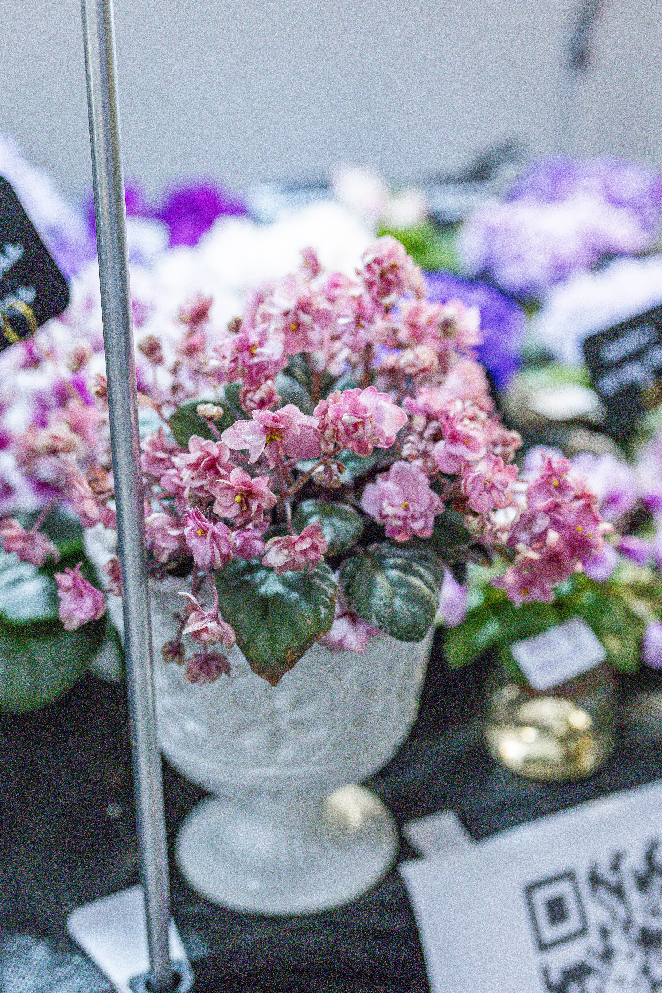 Монстериум апрель 2026. Александра Куликова фотограф, Москва