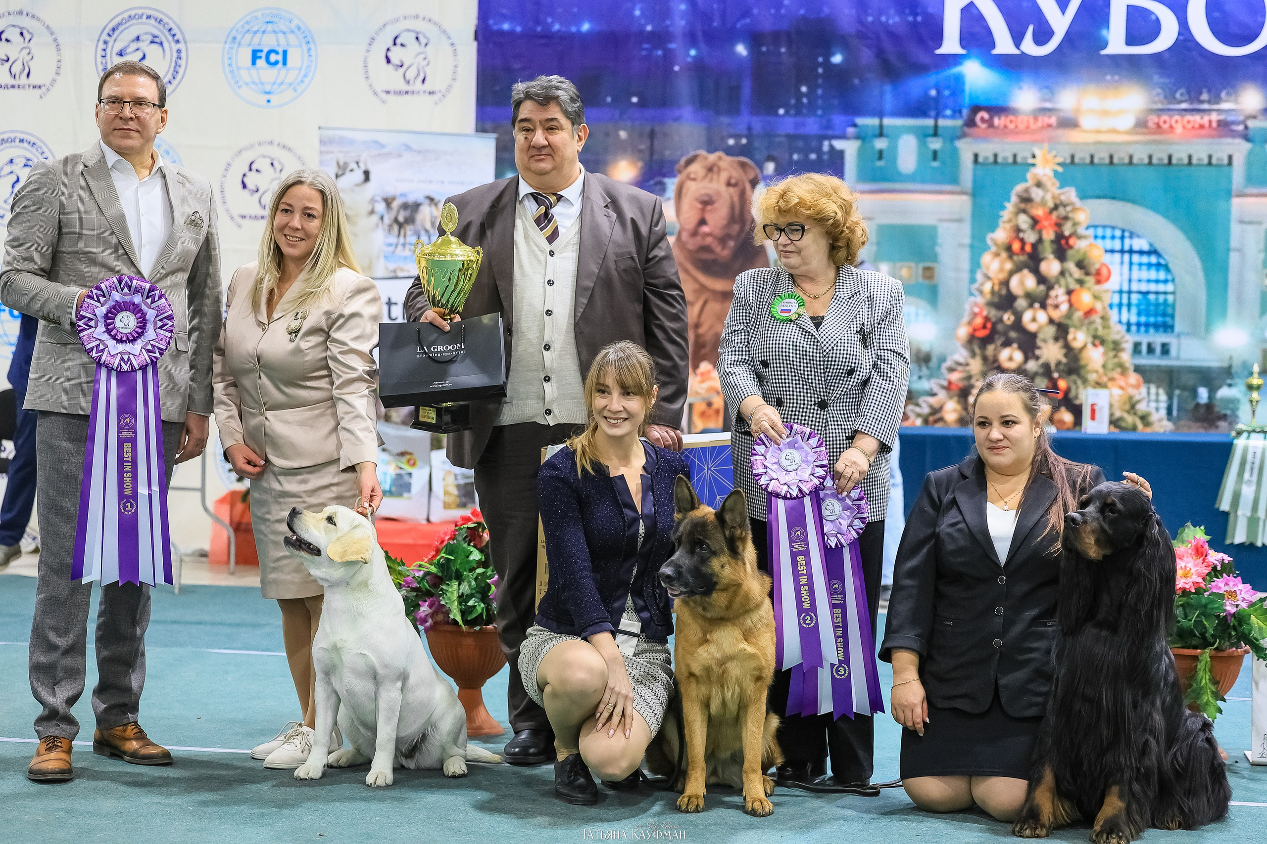 6-7.12.25 — 1-4 Национальные выставки собак в Новосибирске (2х рейтинговые). Фотограф Анималист из Новосибирска Татьяна Кауфман